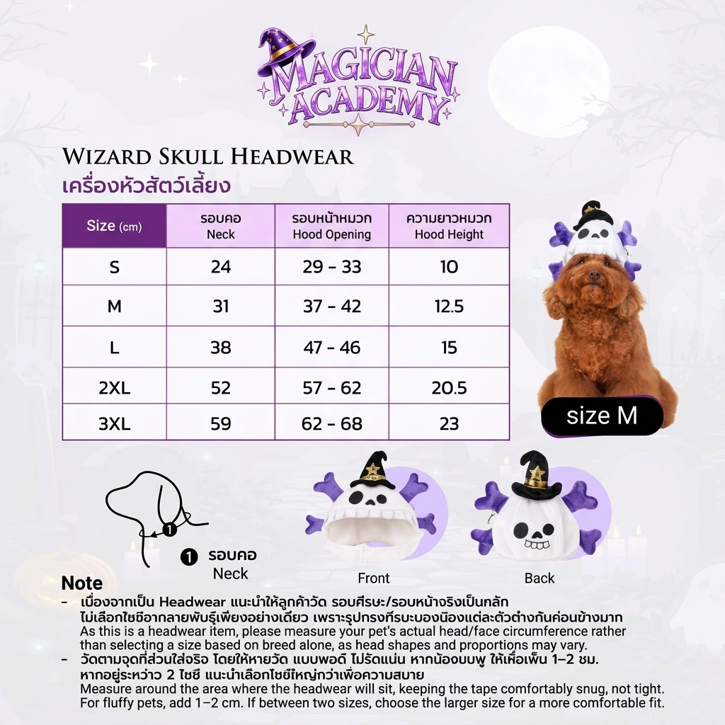 CLAWSET Studio® | Academy Magician- Wizard Skull Headwear