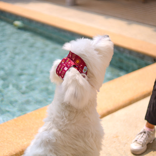 CLAWSET Studio | Hawaii's Calling! -Pet Hat- Maroon
