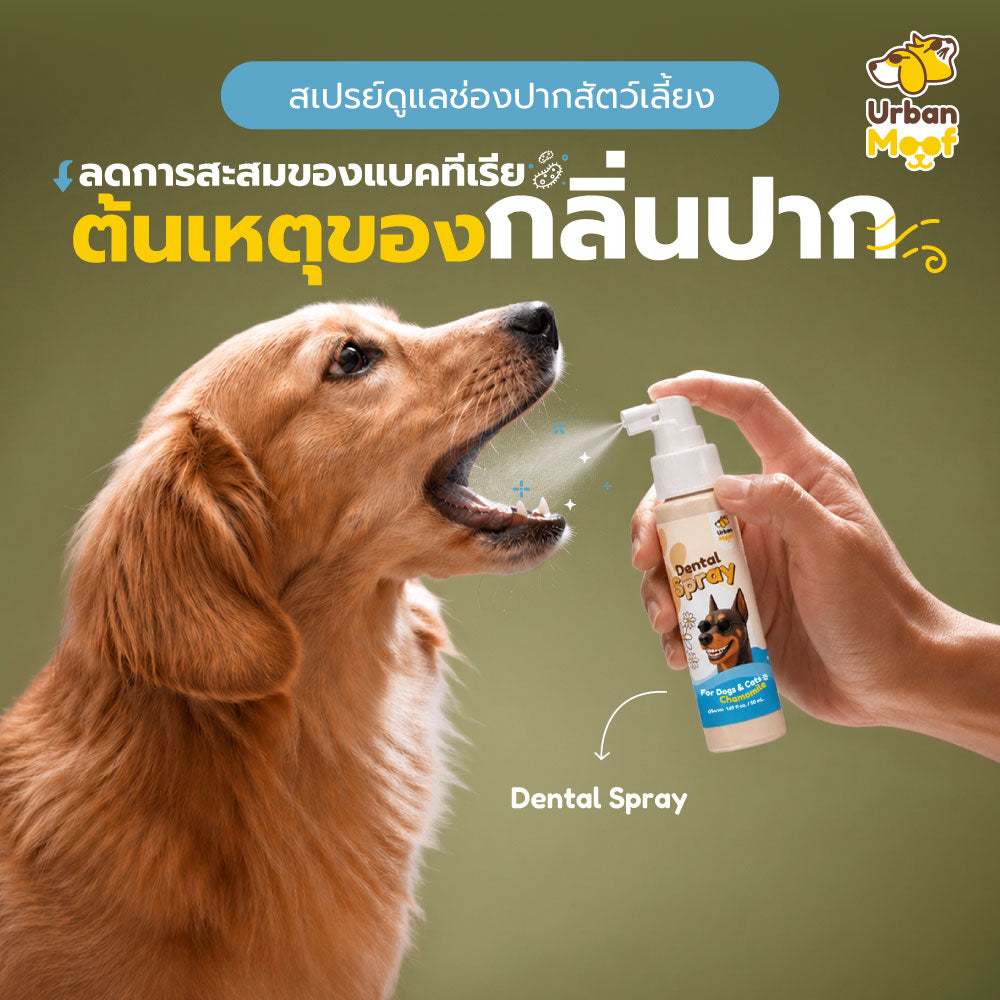 URBAN MOOF| ฺDental Spray ผลิตภัณฑ์ดูแลช่องปากสัตว์เลี้ยง