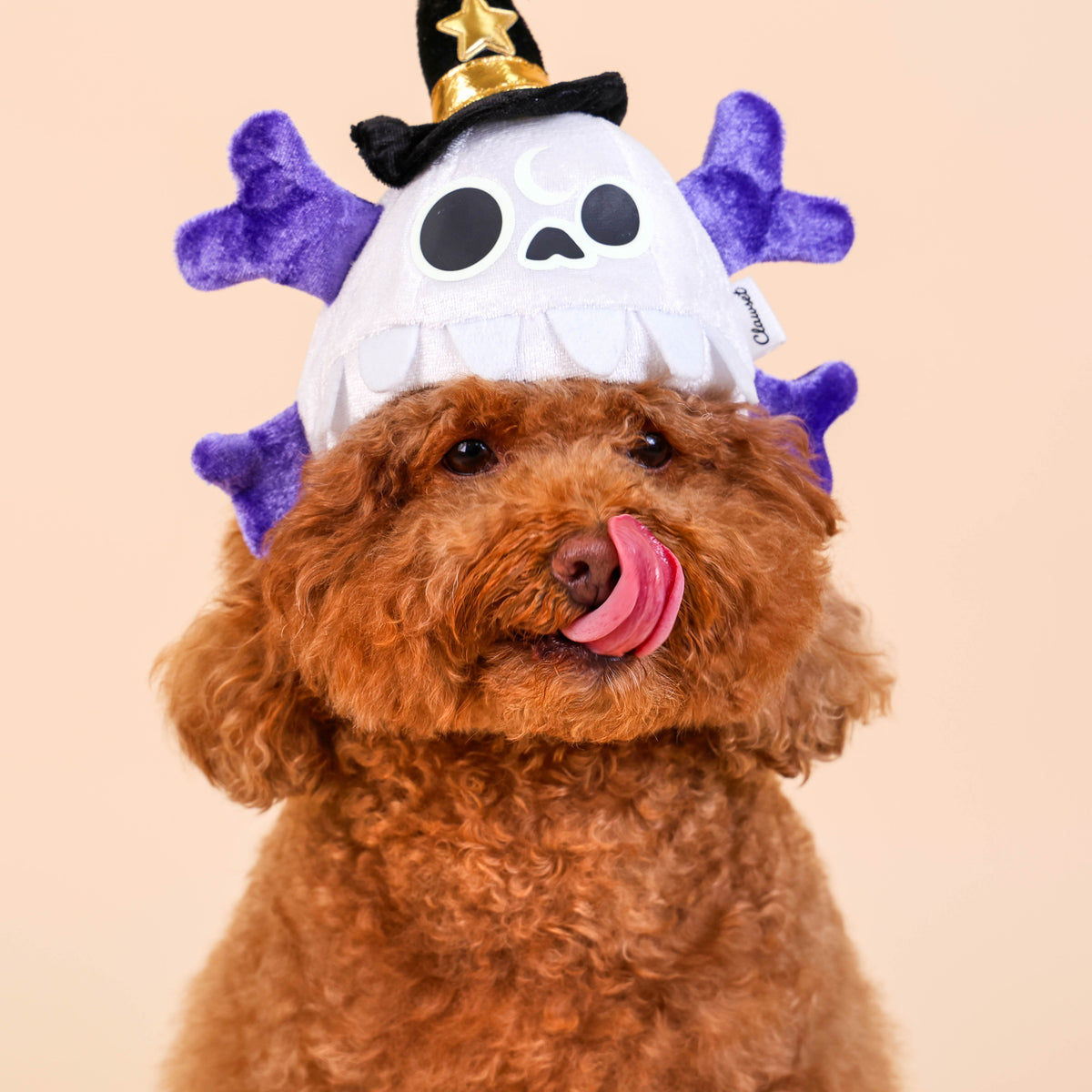 CLAWSET Studio® | Academy Magician- Wizard Skull Headwear