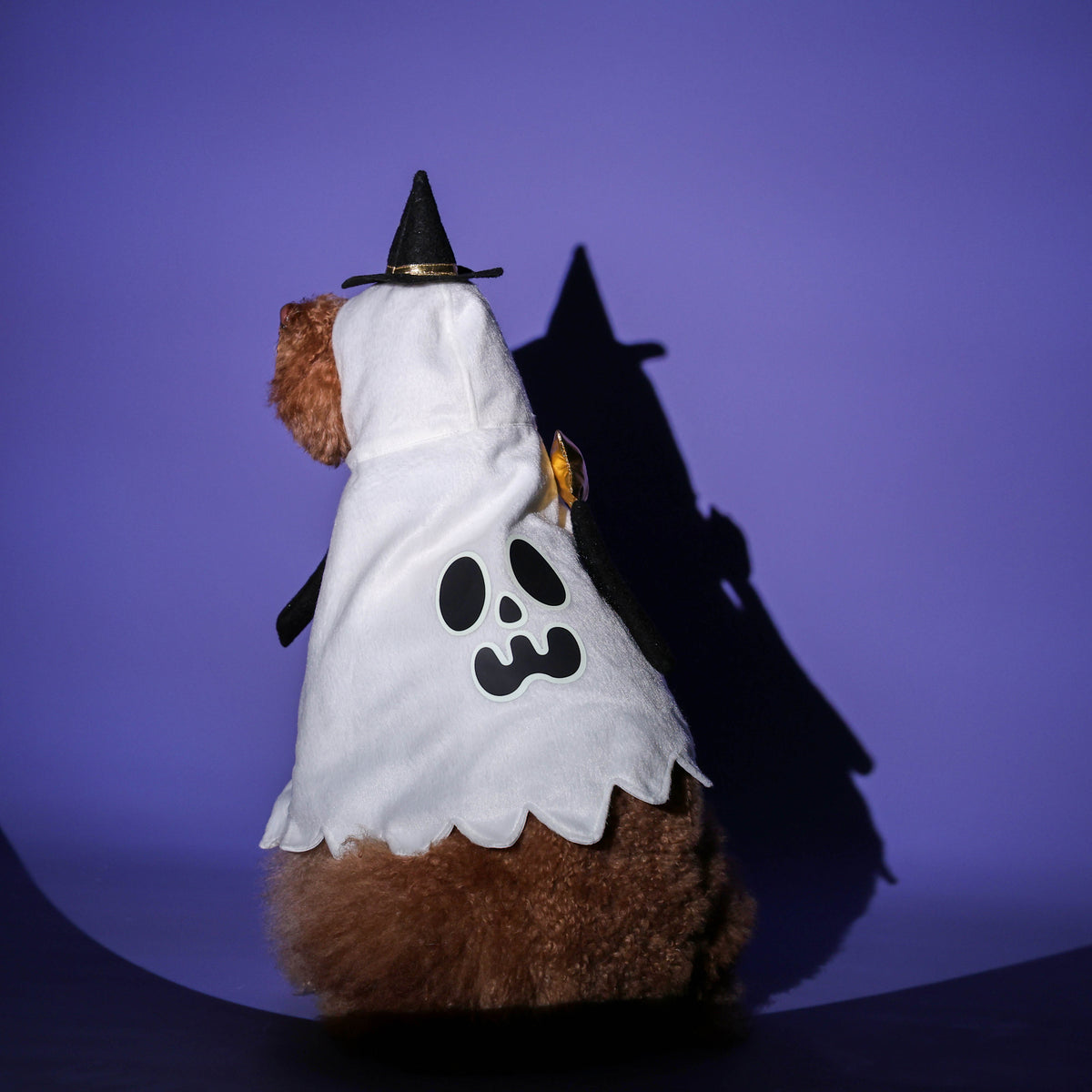 CLAWSET Studio® | Magician Academy - Lumos - White