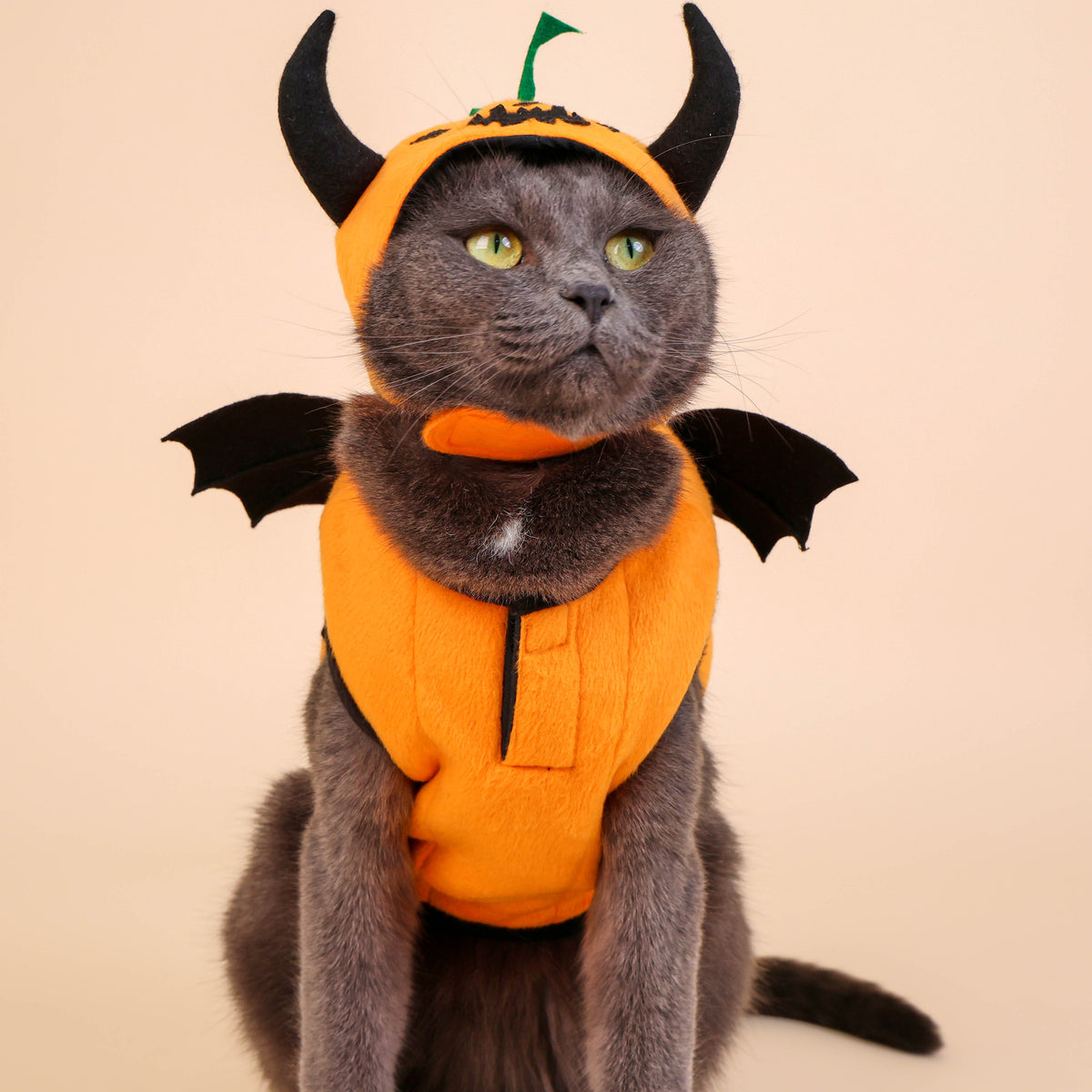 CLAWSET Studio® | Academy halloween - Pumpkin Devil