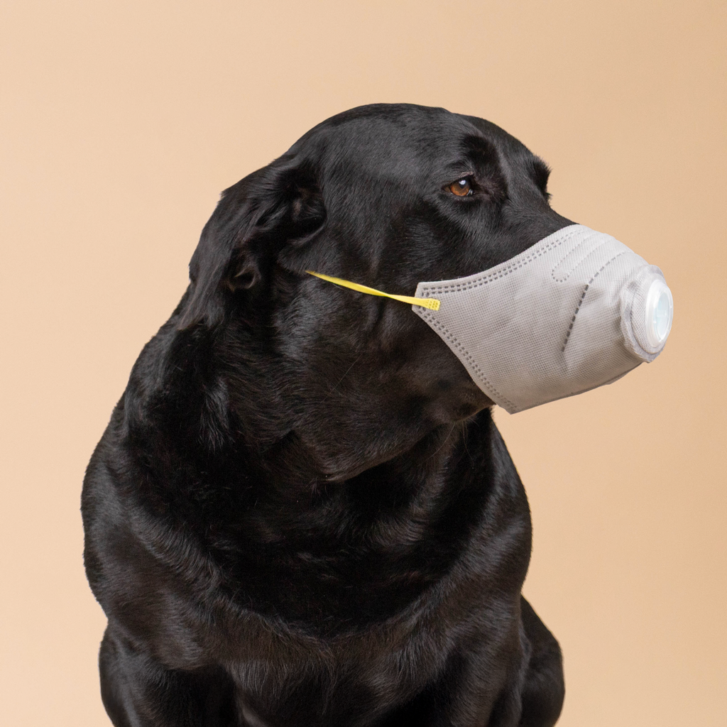 URBAN MOOF | WELLNESS - Pet Face Mask - Mask
