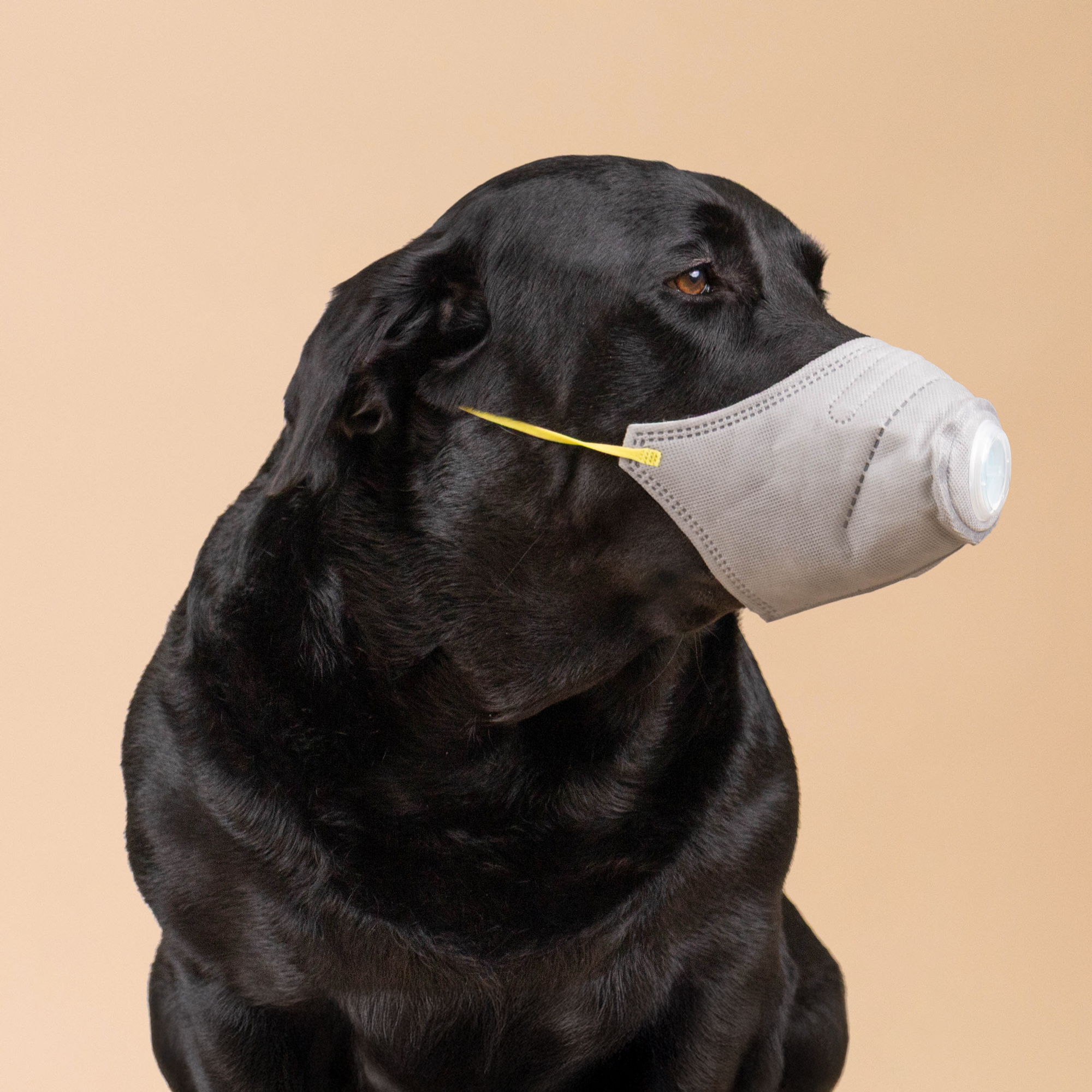 URBAN MOOF | WELLNESS - Pet Face Mask - Mask