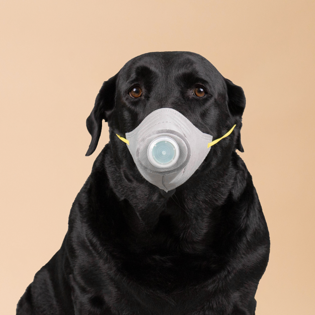 URBAN MOOF | WELLNESS - Pet Face Mask - Mask