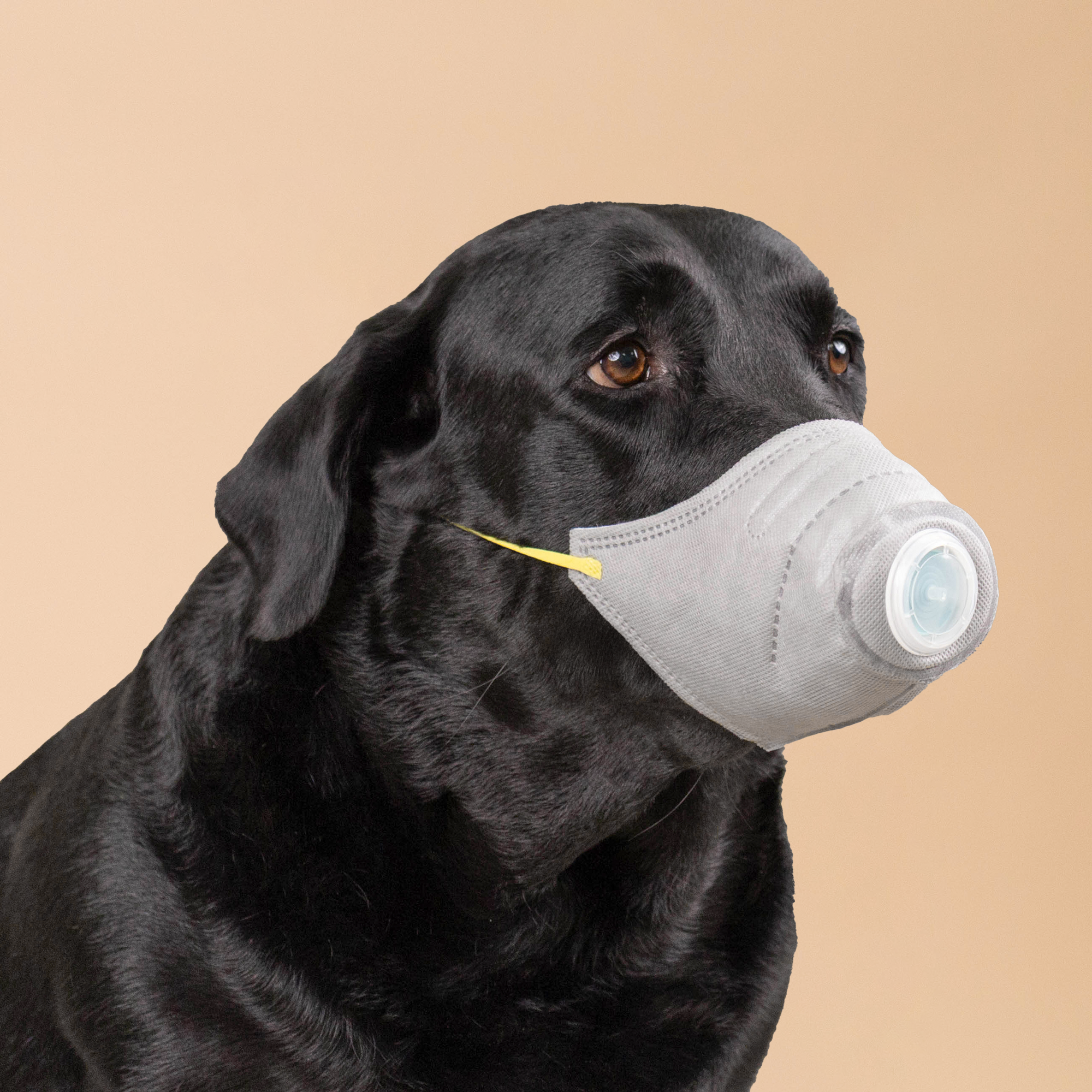 URBAN MOOF | WELLNESS - Pet Face Mask - Mask