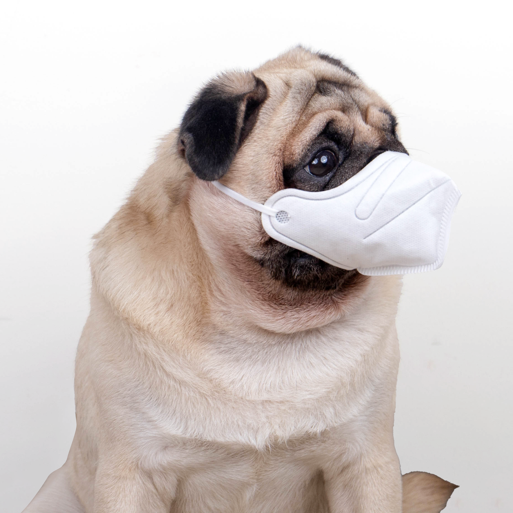 URBAN MOOF | WELLNESS - Pet Face Mask - 3D Mask