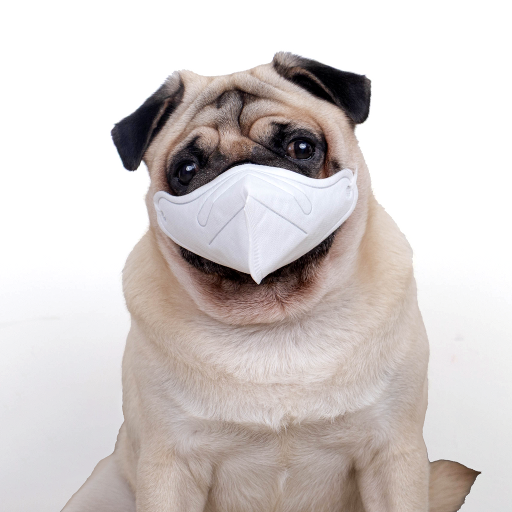 URBAN MOOF | WELLNESS - Pet Face Mask - 3D Mask