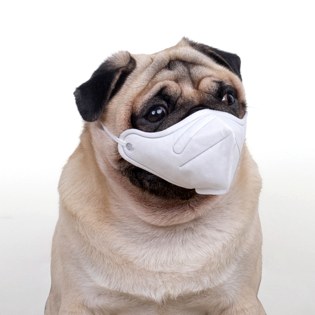 URBAN MOOF | WELLNESS - Pet Face Mask - 3D Mask