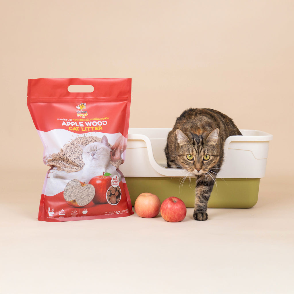 URBAN MOOF | CAT LITTER - APPLE