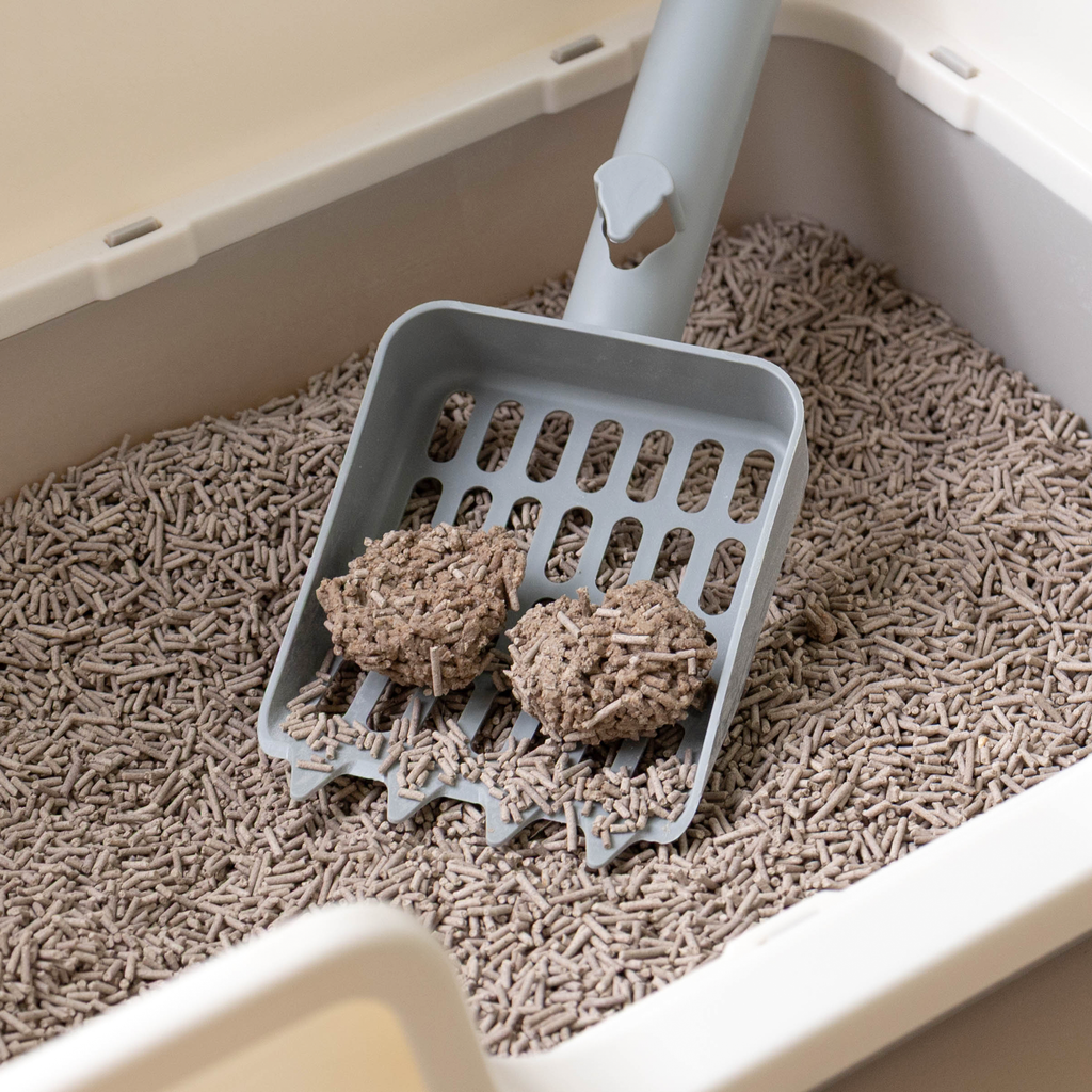 URBAN MOOF | CAT LITTER - APPLE