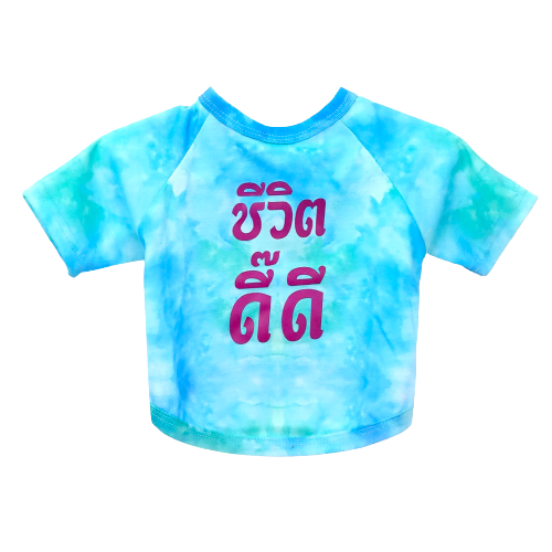 CLAWSET Studio | เสื้อคู่เจ้าของ x สัตว์เลี้ยง เสื้อหมาแมว มัดย้อม สกรีนลาย (เฉพาะเสื้อสัตว์เลี้ยง)