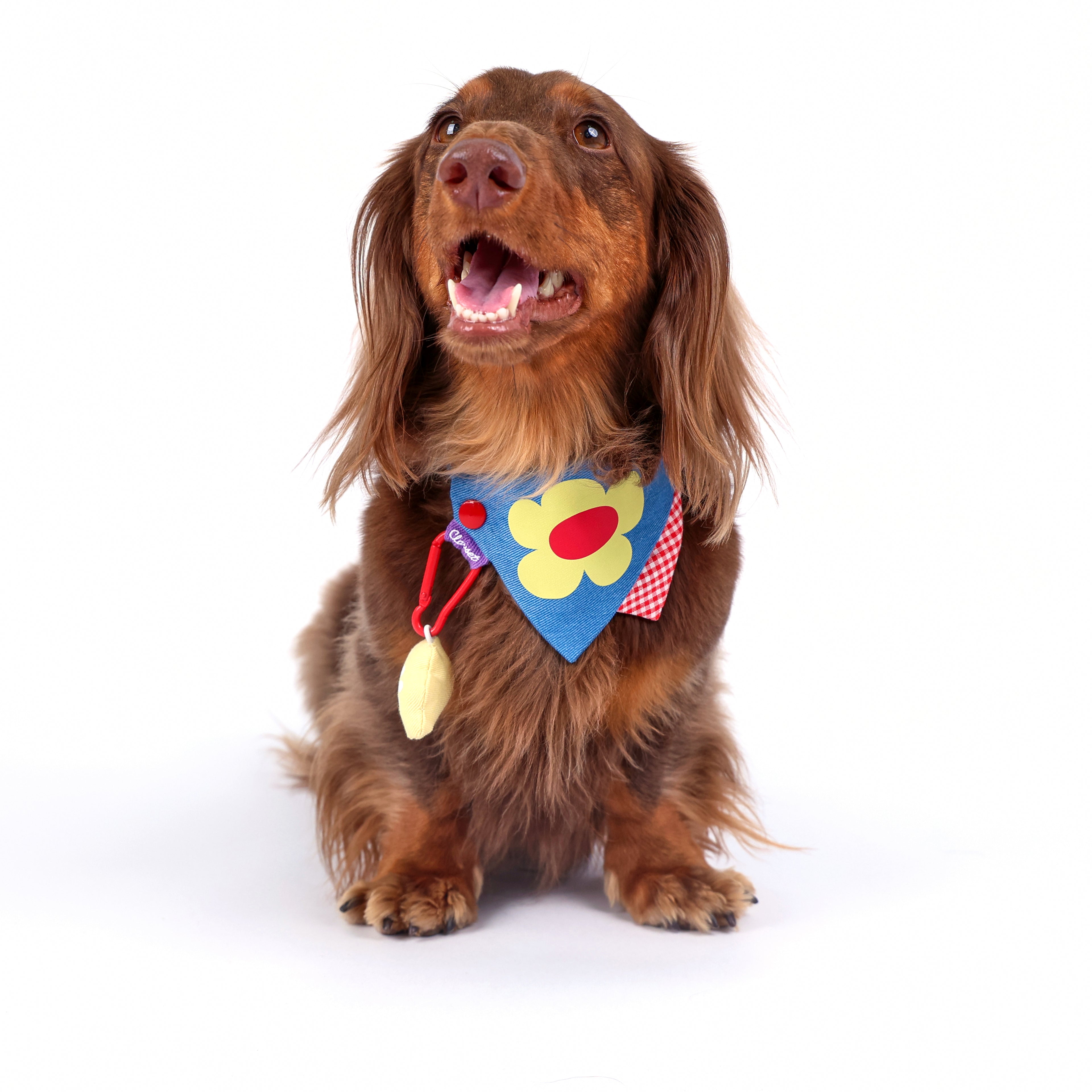 CLAWSET Studio® Picnic Bloom | Bandana Collar - Navy