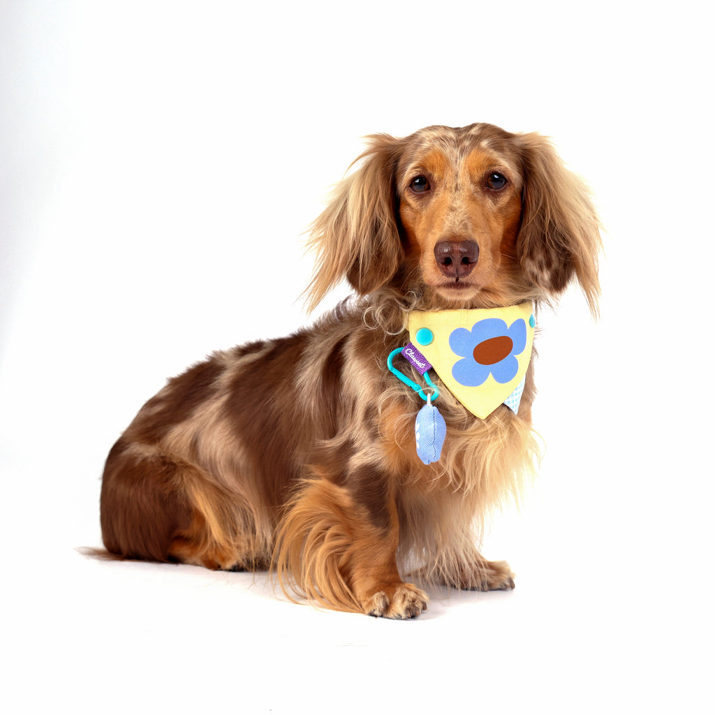 CLAWSET Studio® Picnic Bloom | Bandana Collar - Sunny Pop