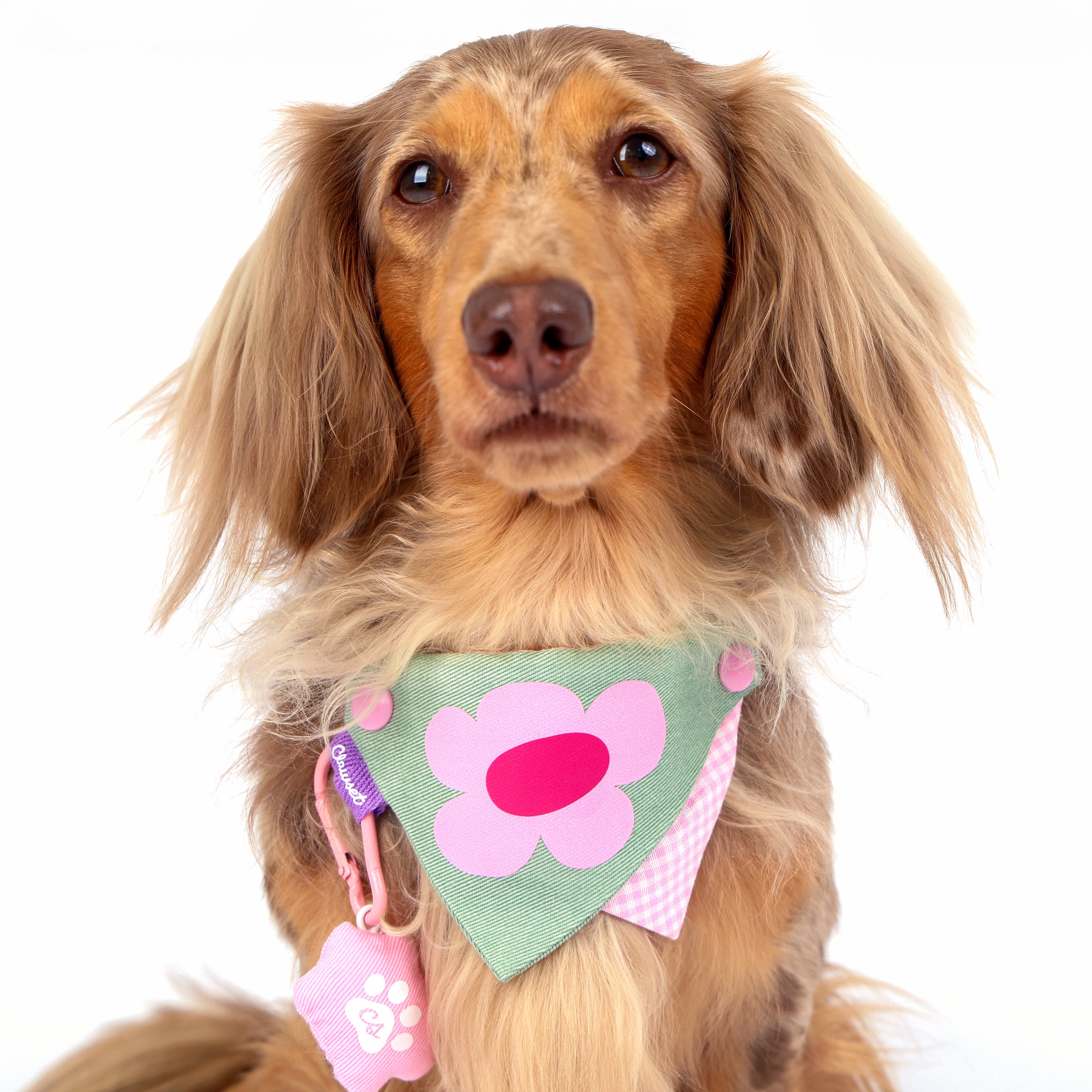 CLAWSET Studio® Picnic Bloom | Bandana Collar - Sage Floral