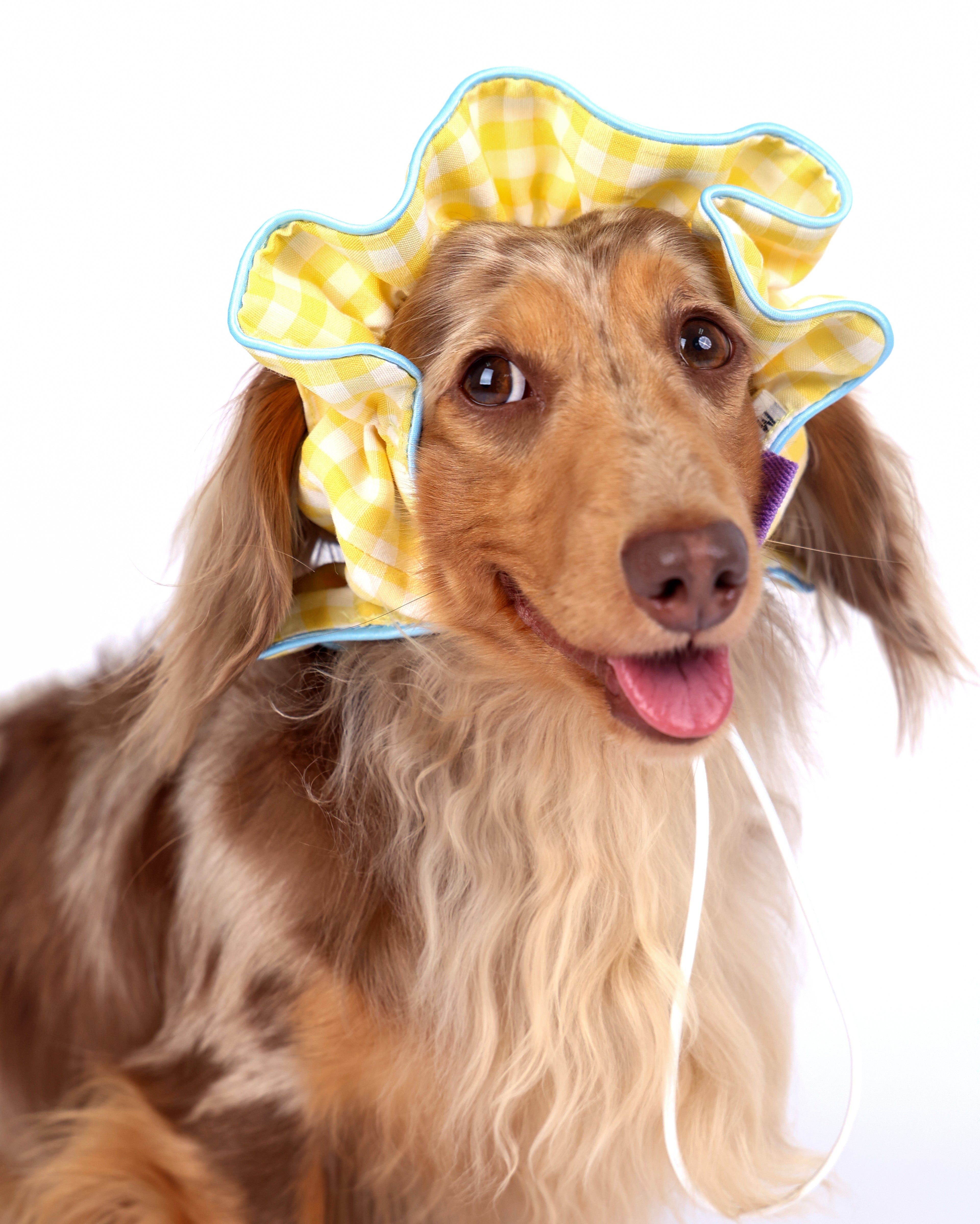 CLAWSET Studio® Picnic Bloom | Comfy Headband - Yellow