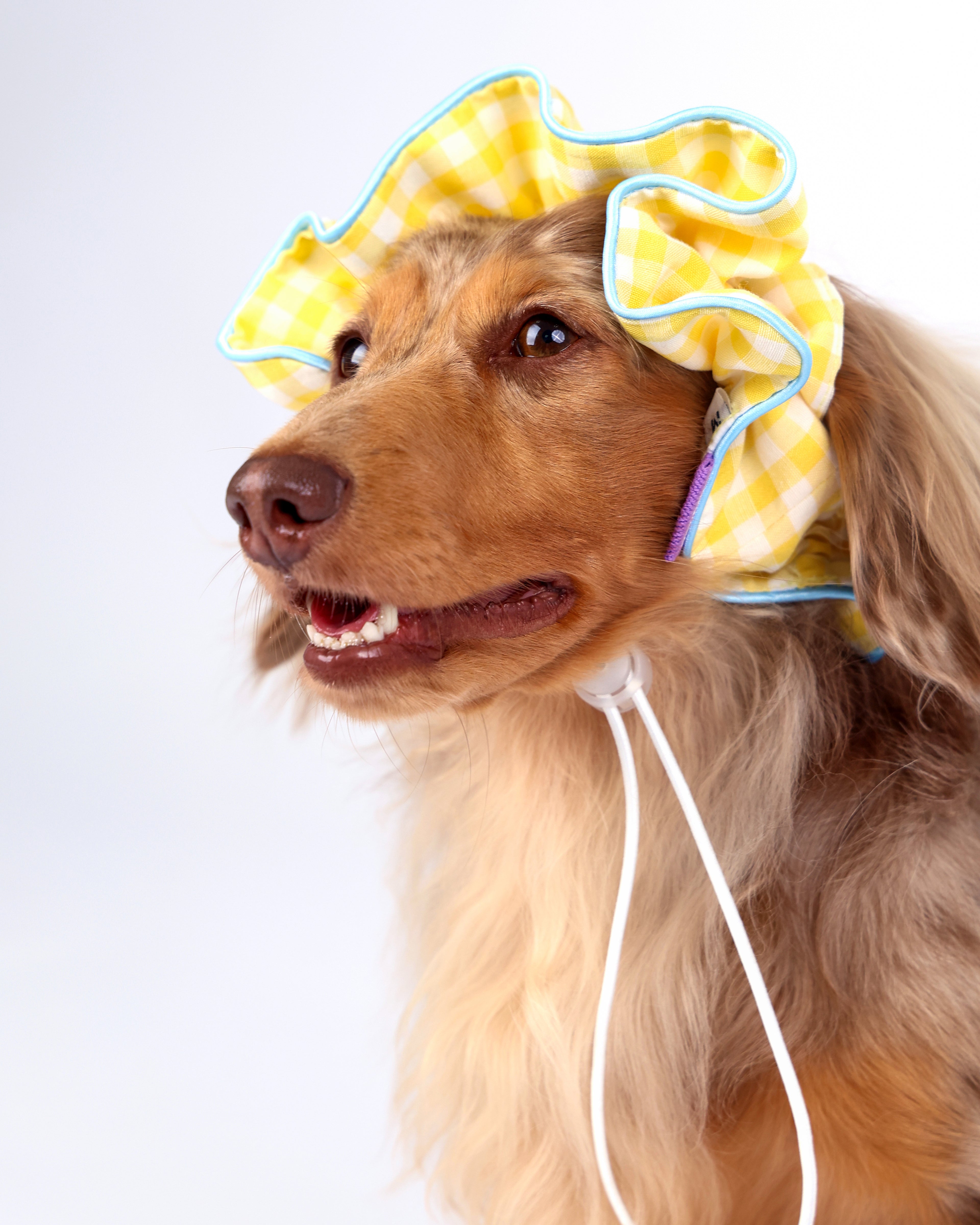 CLAWSET Studio® Picnic Bloom | Comfy Headband - Yellow