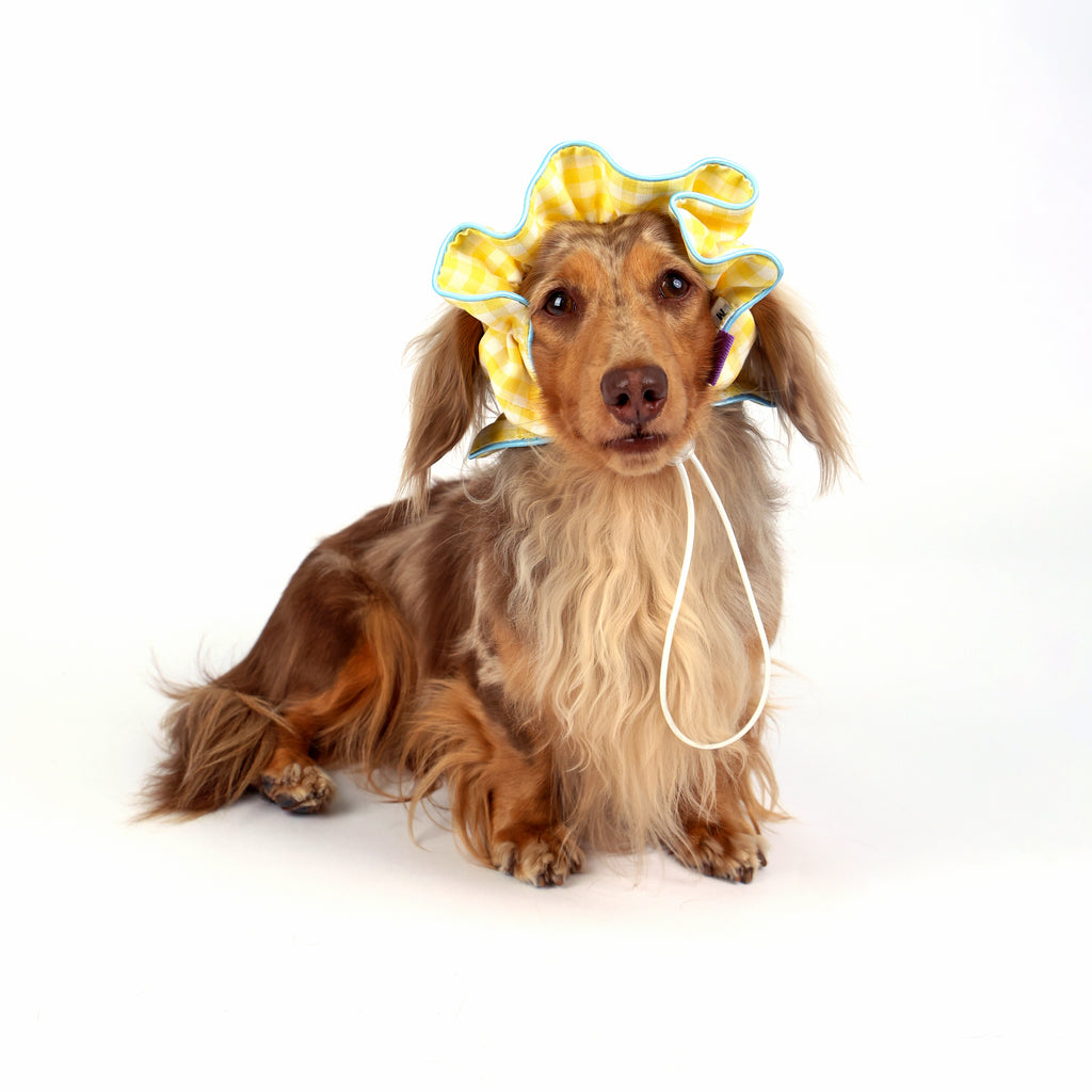CLAWSET Studio® Picnic Bloom | Comfy Headband - Yellow