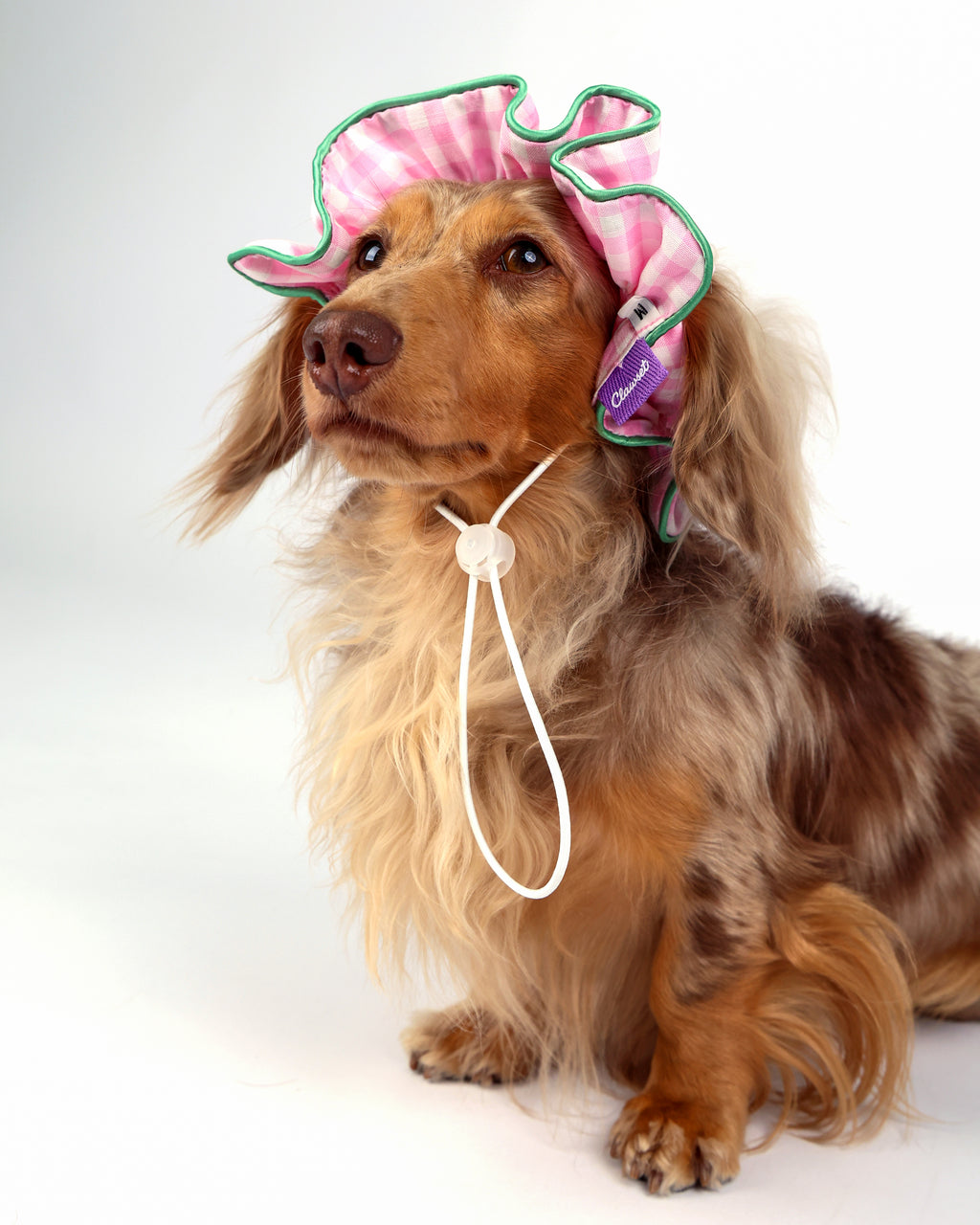 CLAWSET Studio® Picnic Bloom | Comfy Headband - Pink
