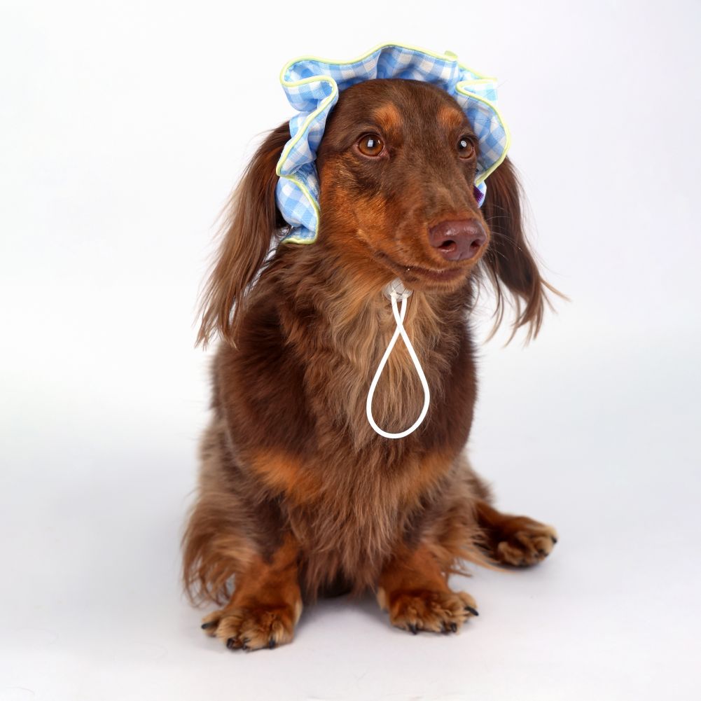 CLAWSET Studio® Picnic Bloom | Comfy Headband - Blue