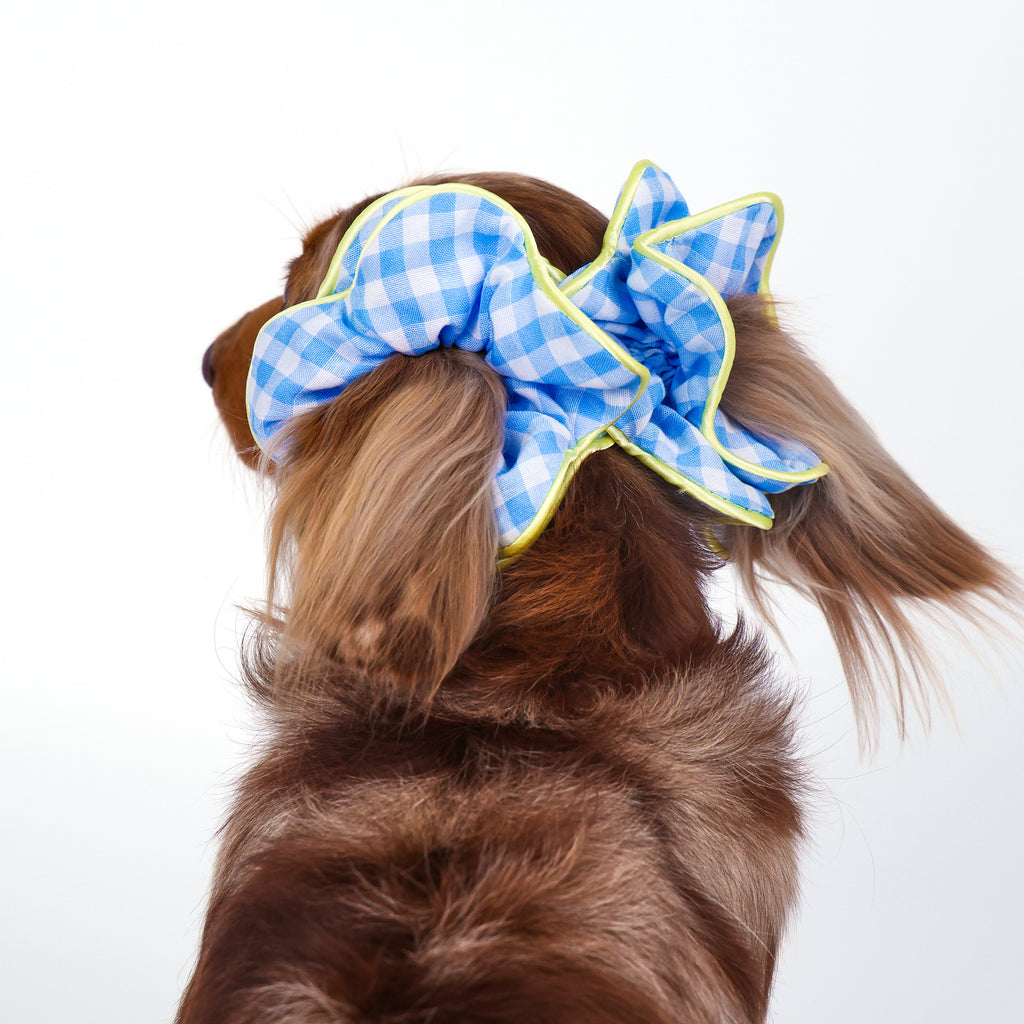 CLAWSET Studio® Picnic Bloom | Flower Scrunchies - Blue