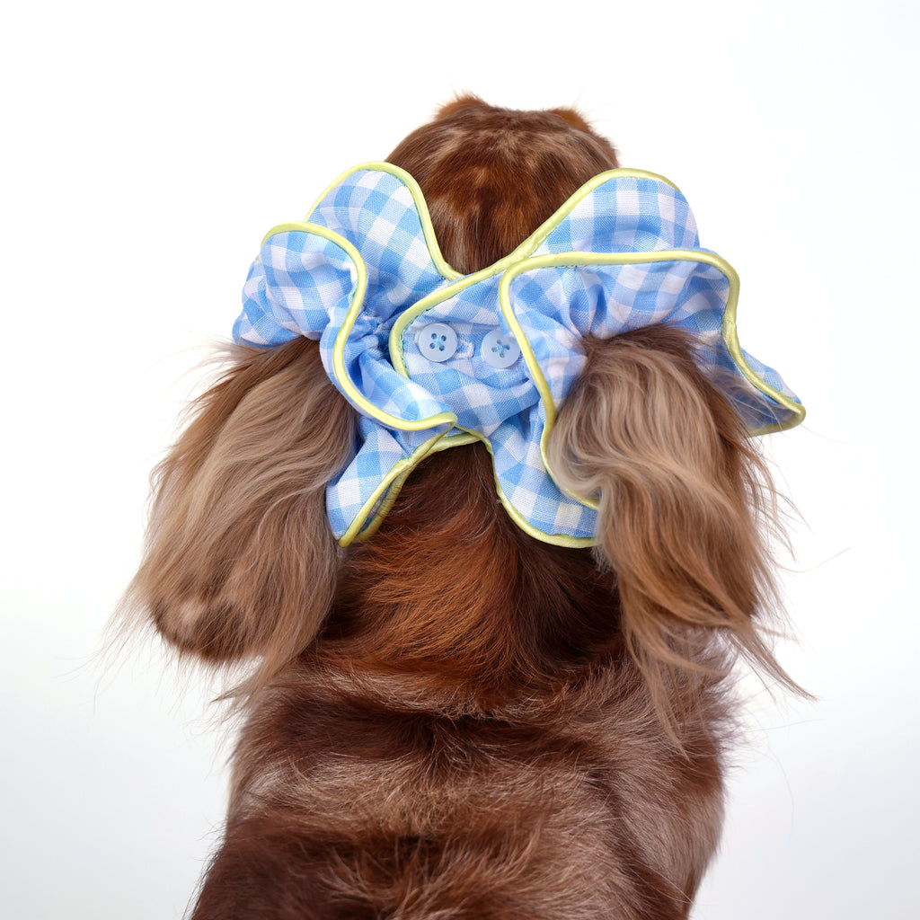 CLAWSET Studio® Picnic Bloom | Flower Scrunchies - Blue
