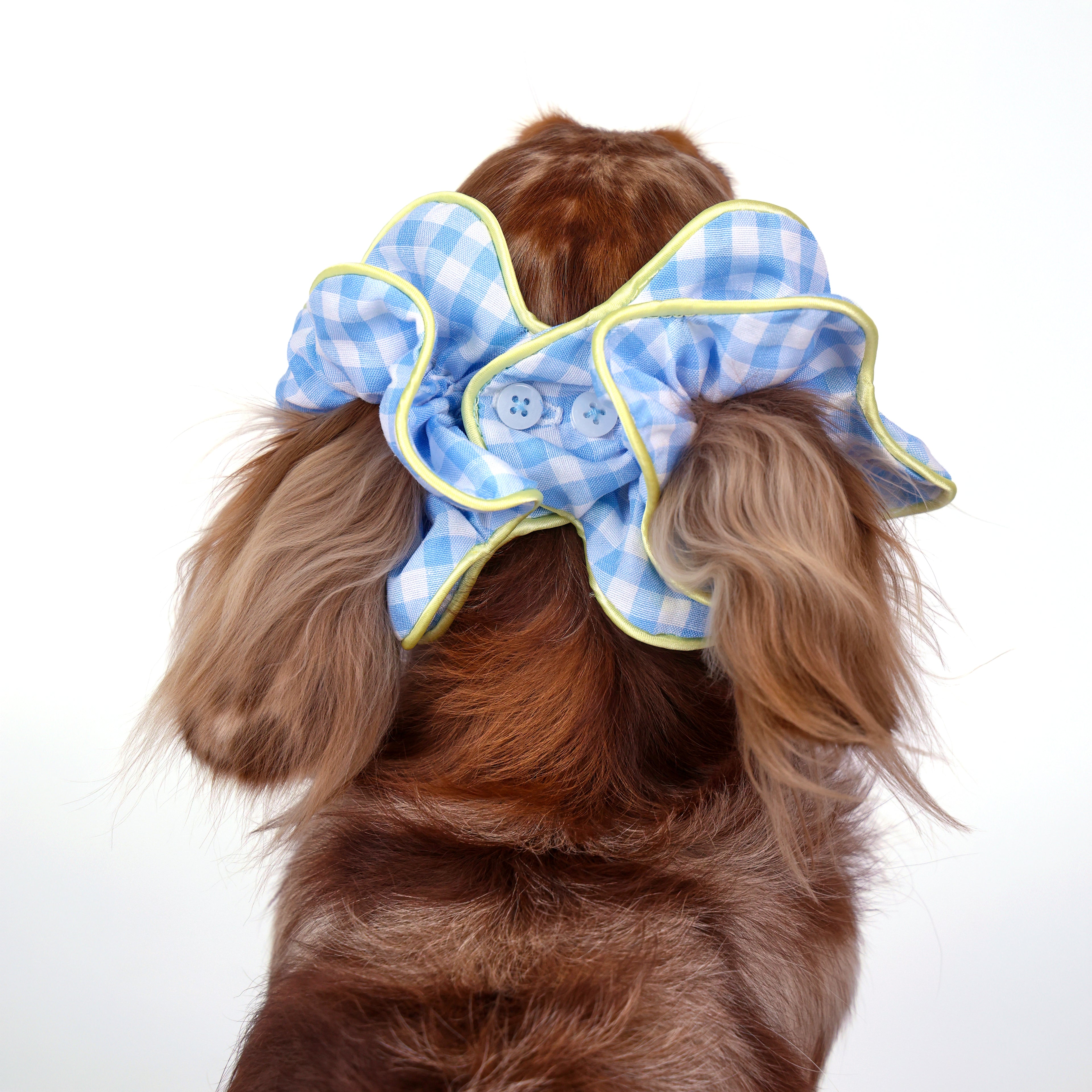 CLAWSET Studio® Picnic Bloom | Flower Scrunchies - Blue