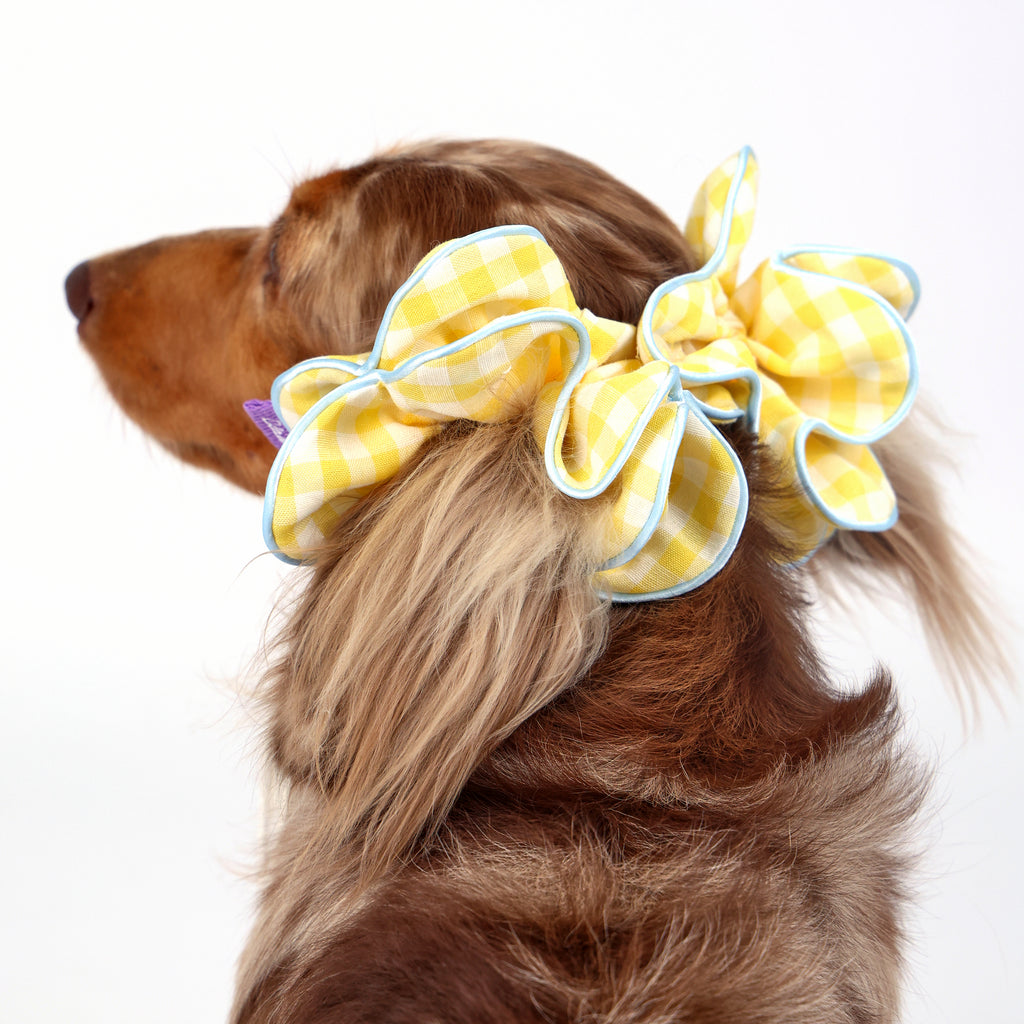 CLAWSET Studio® Picnic Bloom | Flower Scrunchies - Yellow