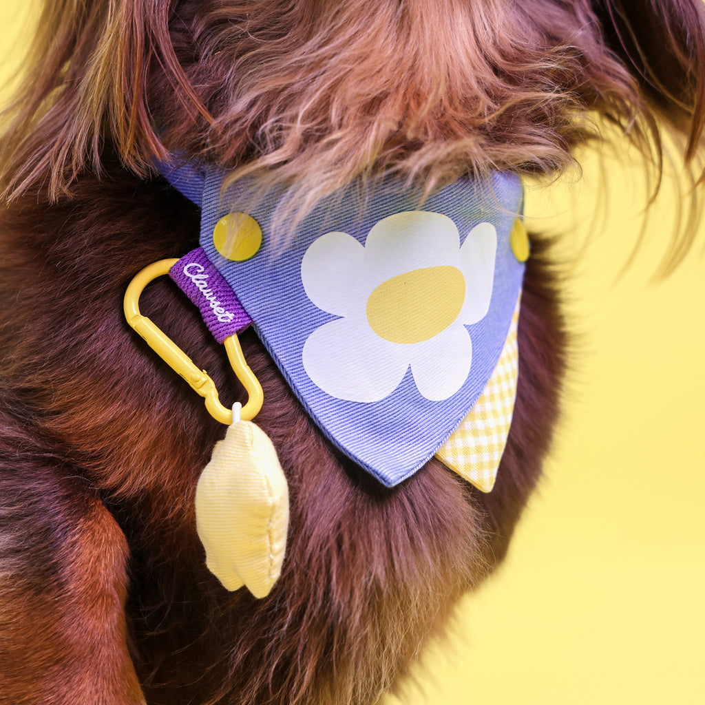 CLAWSET Studio® Picnic Bloom | Bandana Collar - Blue Daisy