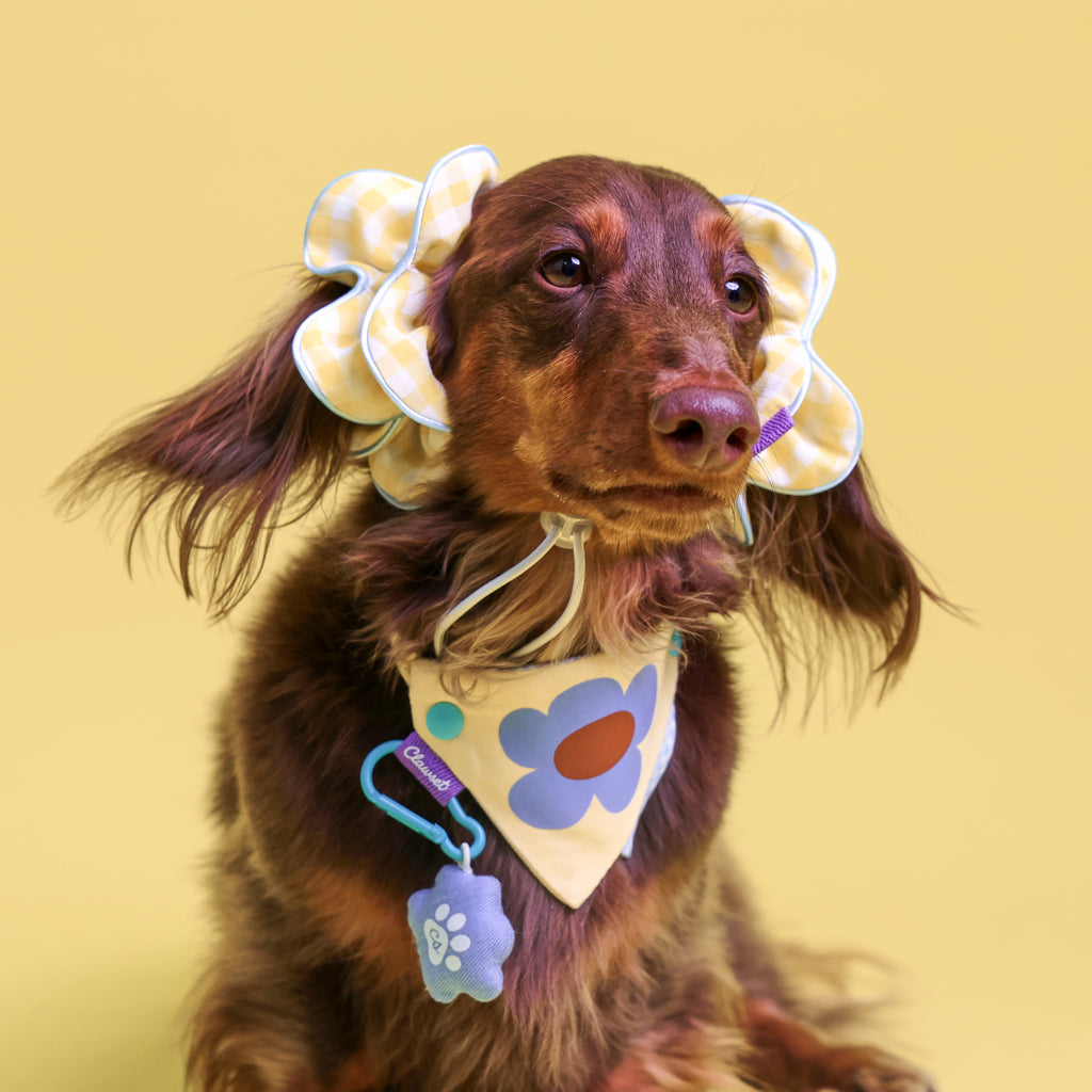 CLAWSET Studio® Picnic Bloom | Flower Scrunchies - Yellow