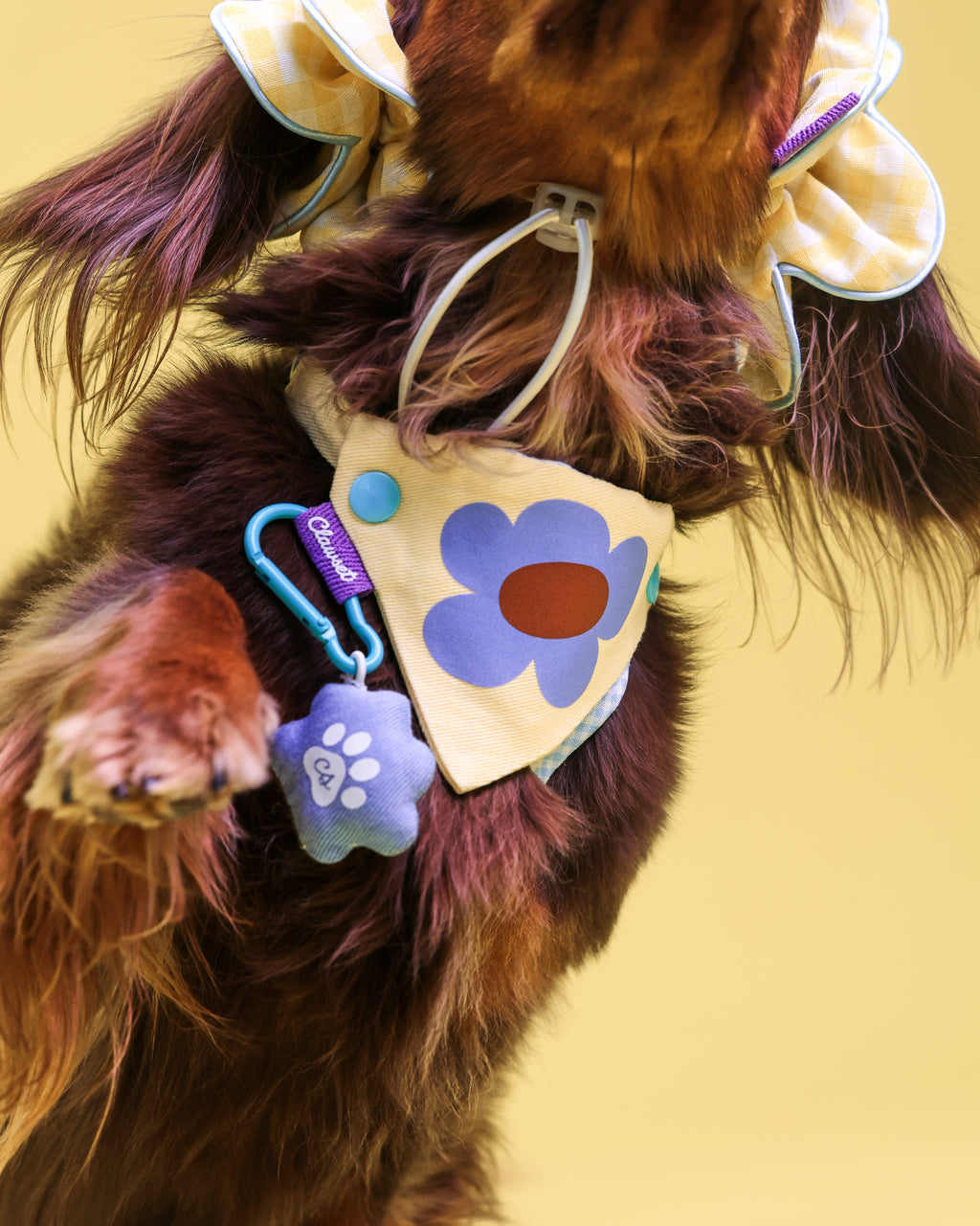 CLAWSET Studio® Picnic Bloom | Bandana Collar - Sunny Pop