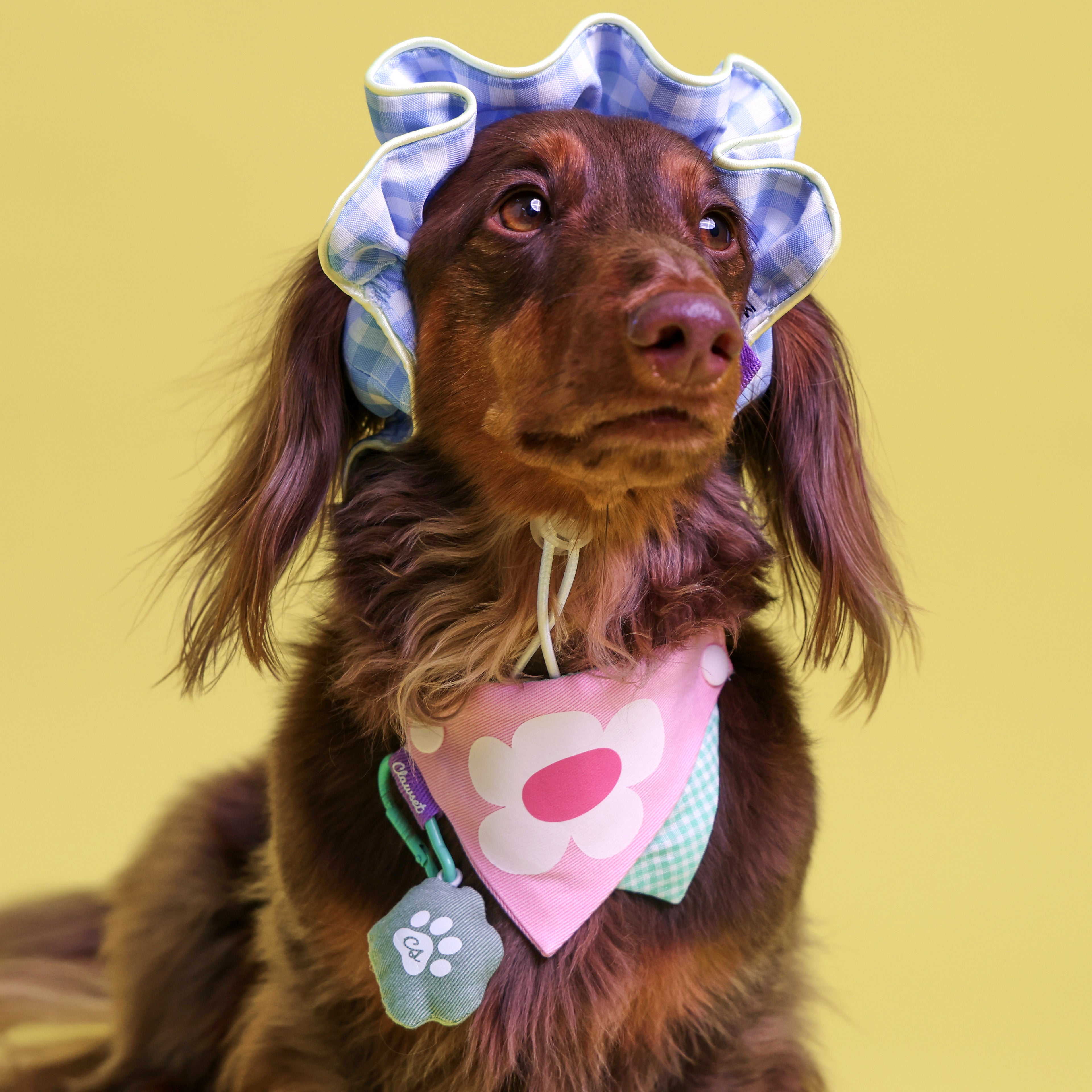 CLAWSET Studio® Picnic Bloom | Comfy Headband - Blue