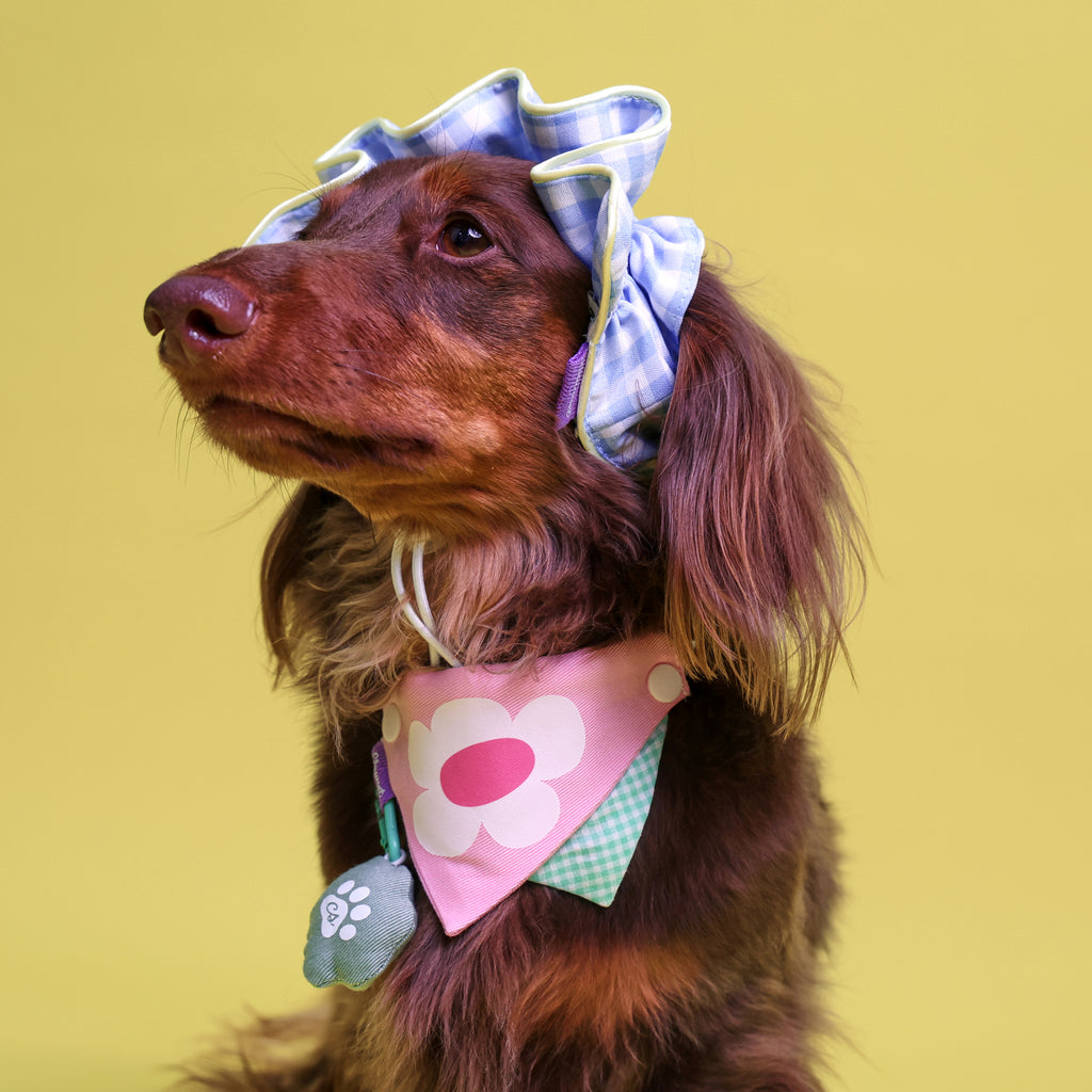 CLAWSET Studio® Picnic Bloom | Bandana Collar - Pink Daisy