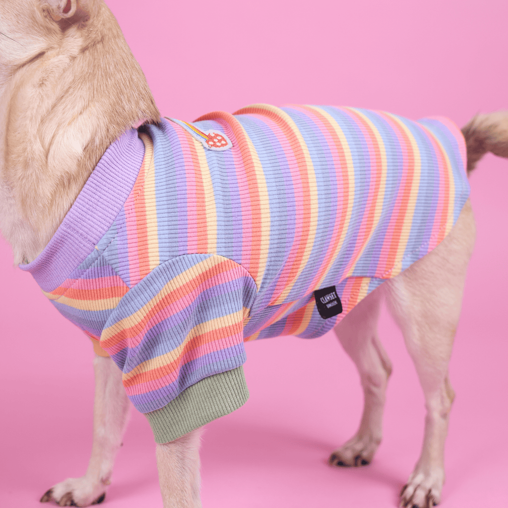 CLAWSET Studio® | Pride Collection - Happy Rainbow - BOY