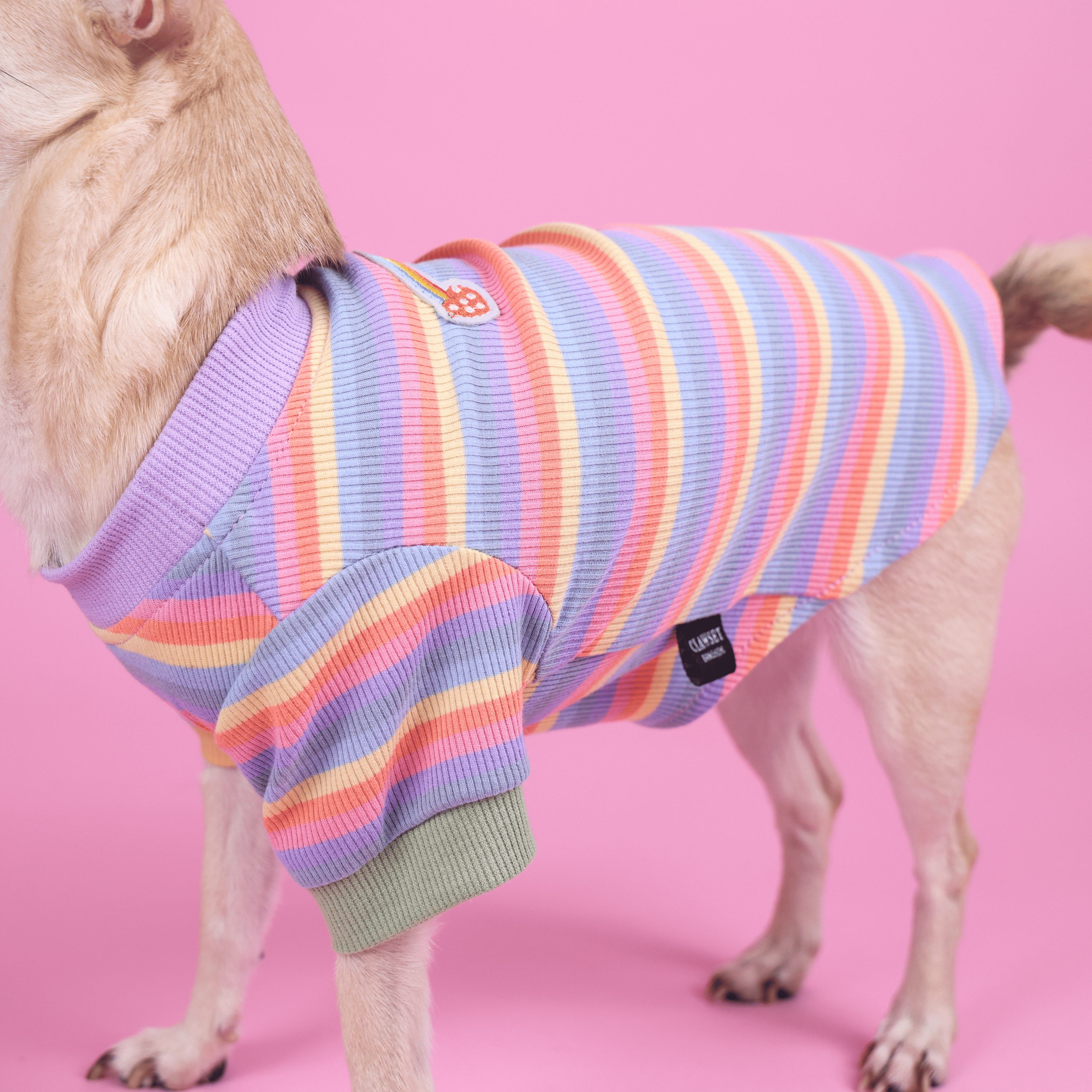CLAWSET Studio® | Pride Collection - Happy Rainbow - BOY