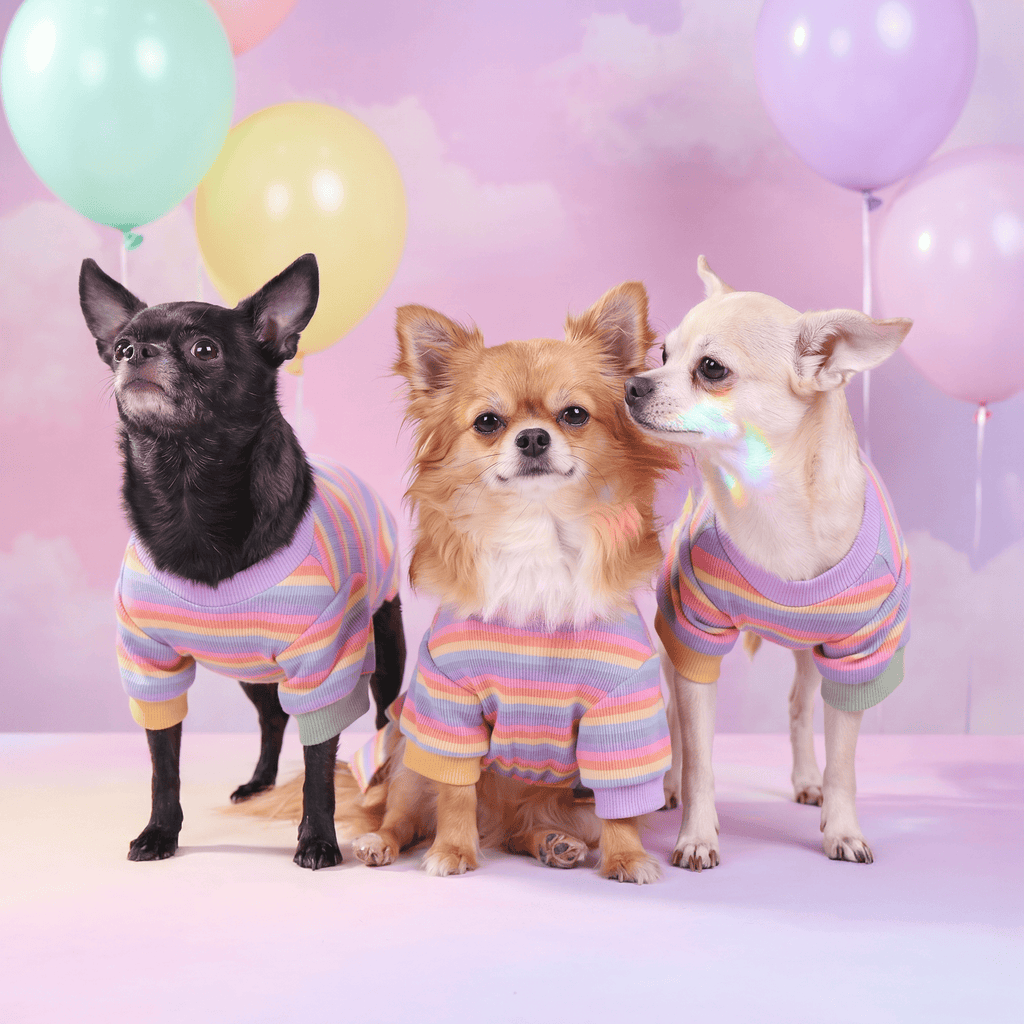 CLAWSET Studio® | Pride Collection - Happy Rainbow - BOY