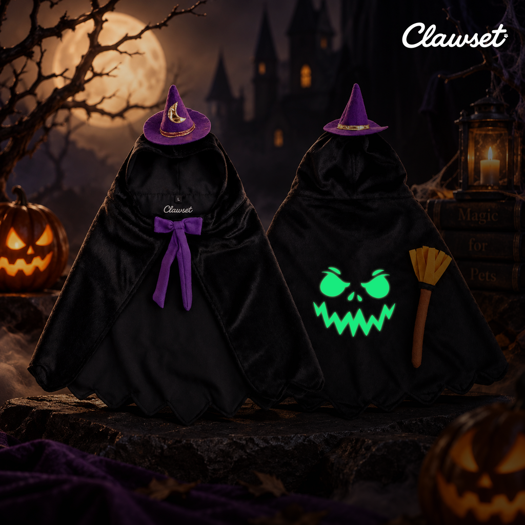 CLAWSET Studio® | Magician Academy - Nox - Black