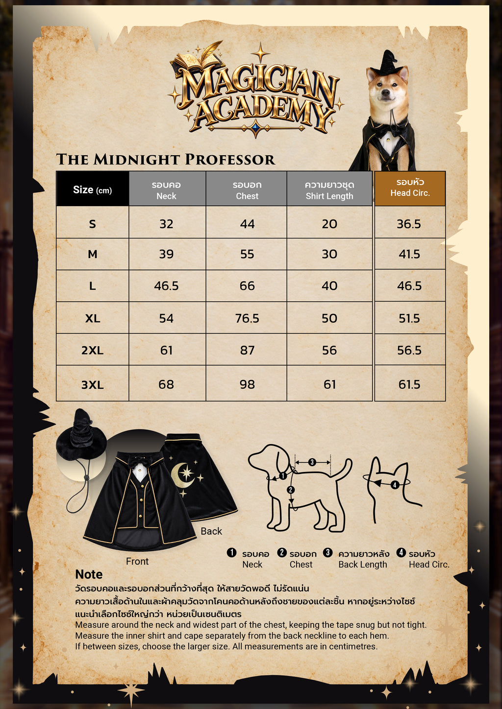 CLAWSET Studio® | Magician Academy -  Midnight Professor