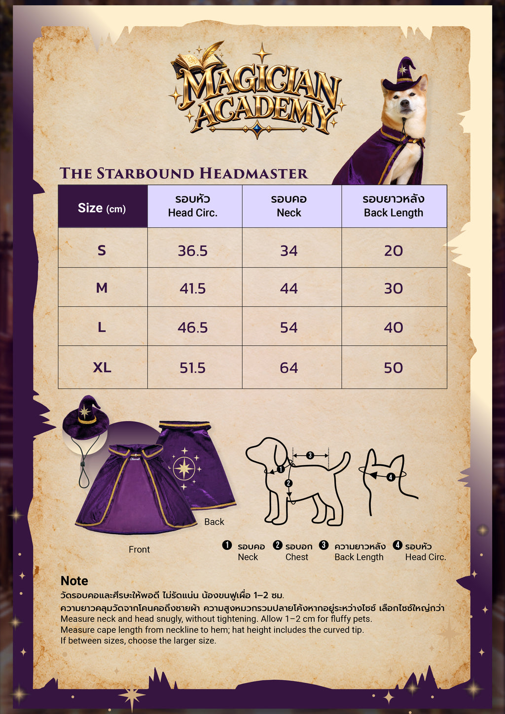 CLAWSET Studio® | Magician Academy -  Starbound Headmaster