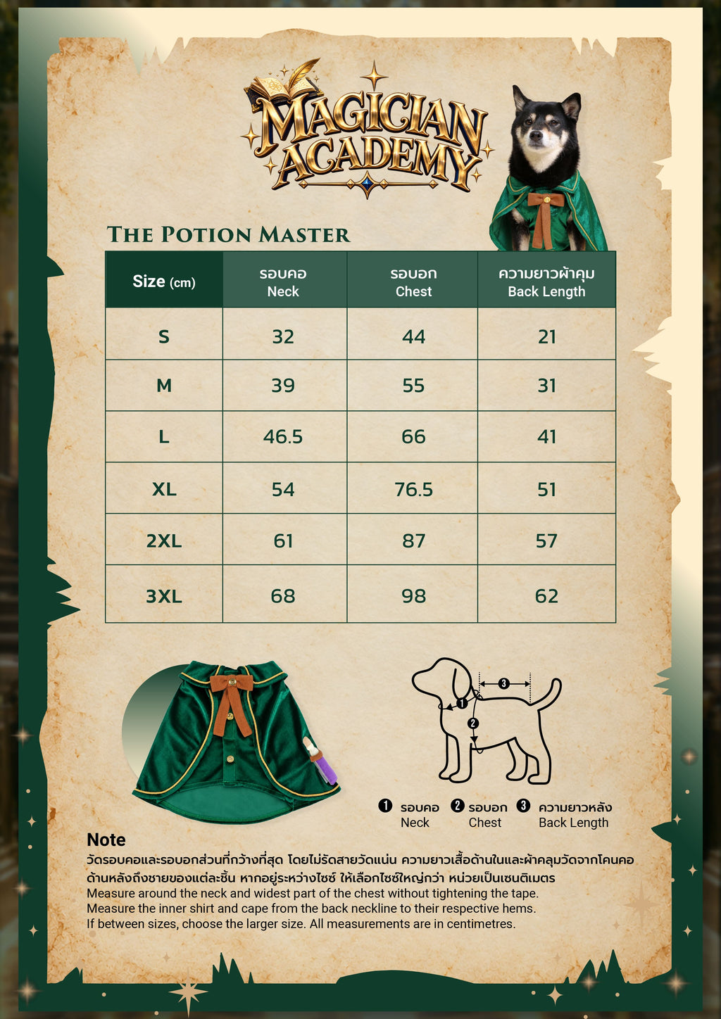 CLAWSET Studio® | Magician Academy -  Potion Master