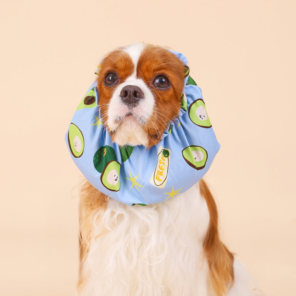 CLAWSET Studio | Veggie Collection -Snood - Avocado