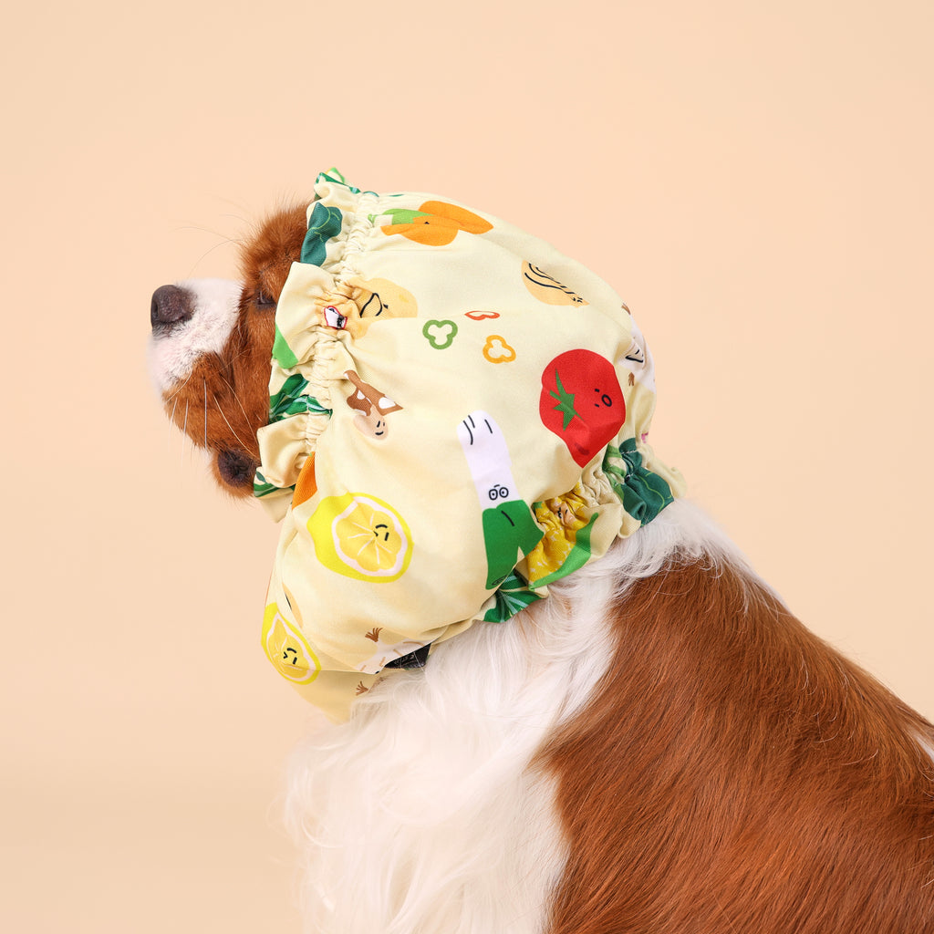 CLAWSET Studio | Veggie Collection - Snood - Mixed Salad