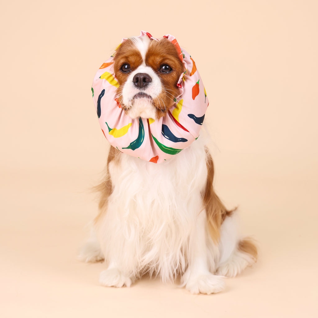 CLAWSET Studio | Veggie Collection - Snood - Spicy