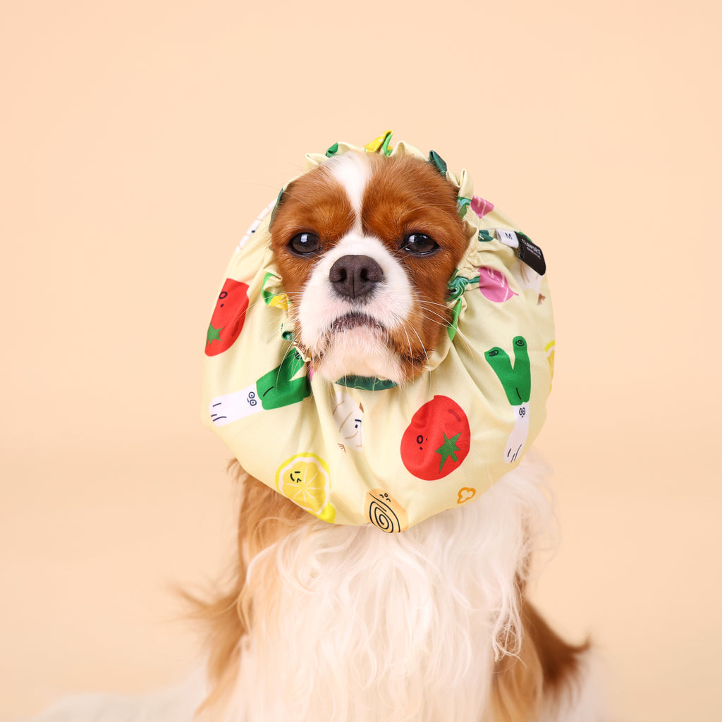CLAWSET Studio | Veggie Collection - Snood - Mixed Salad