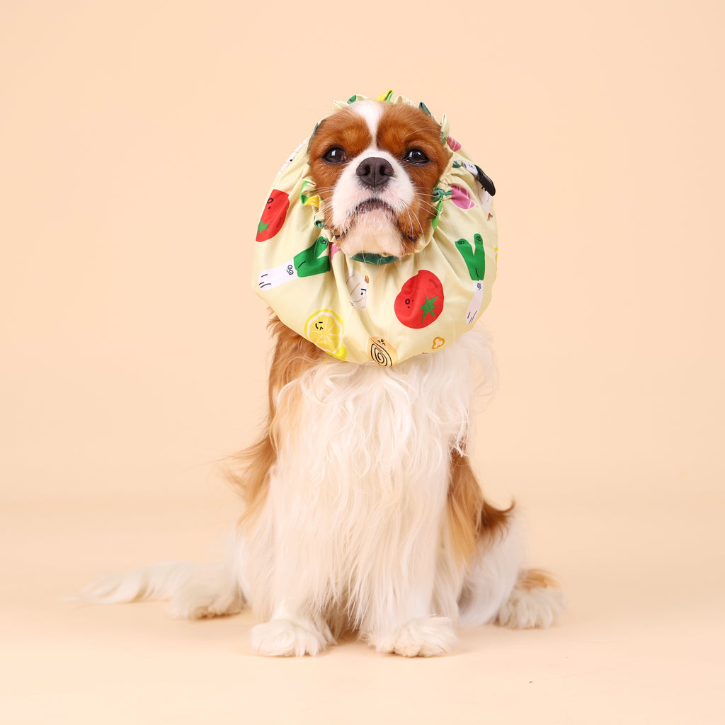 CLAWSET Studio | Veggie Collection - Snood - Mixed Salad