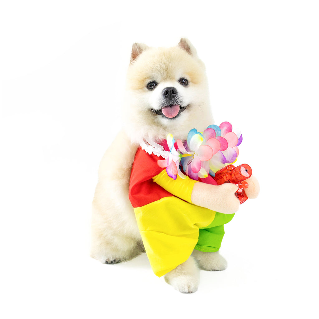 CLAWSET Studio | Songkran Collection