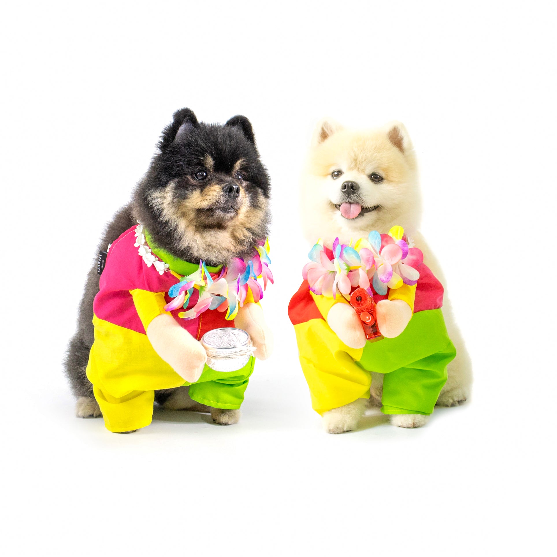 CLAWSET Studio | Songkran Collection