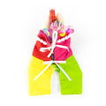 CLAWSET Studio | Songkran Collection