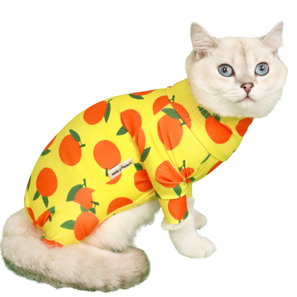 CLAWSET Studio | Fruity Protection suit -Orange - CLAWSET BANGKOK