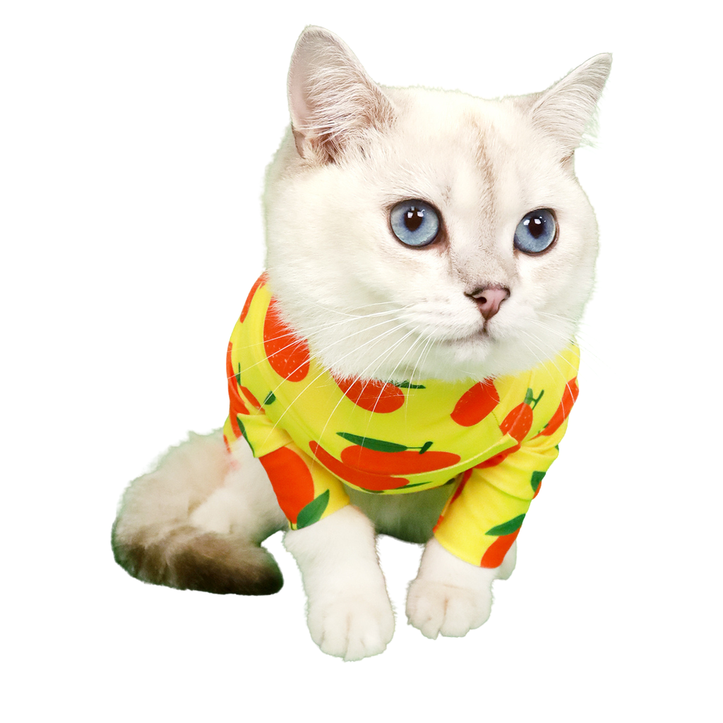 CLAWSET Studio | Fruity Protection suit -Orange - CLAWSET BANGKOK